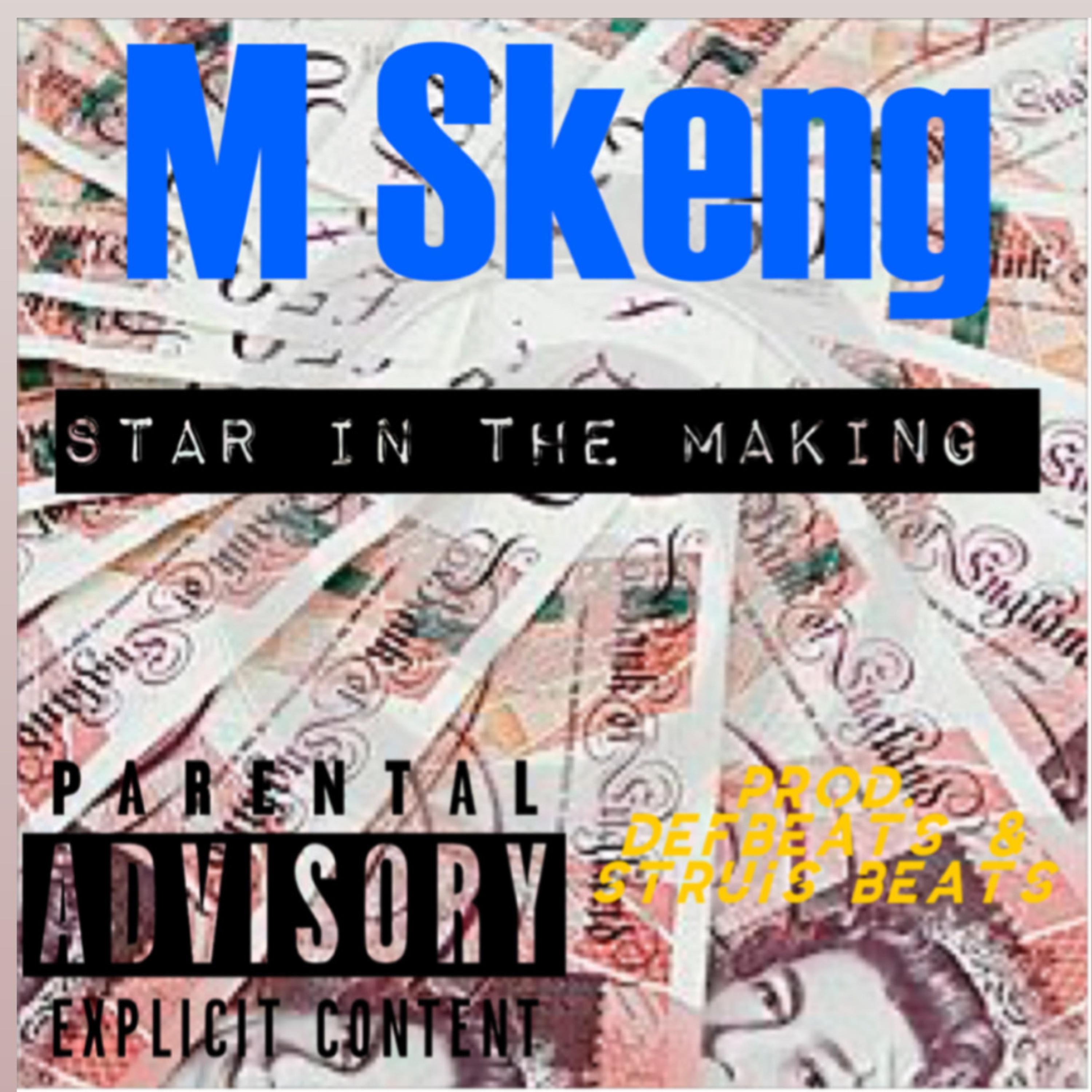 Star In The Making artwork