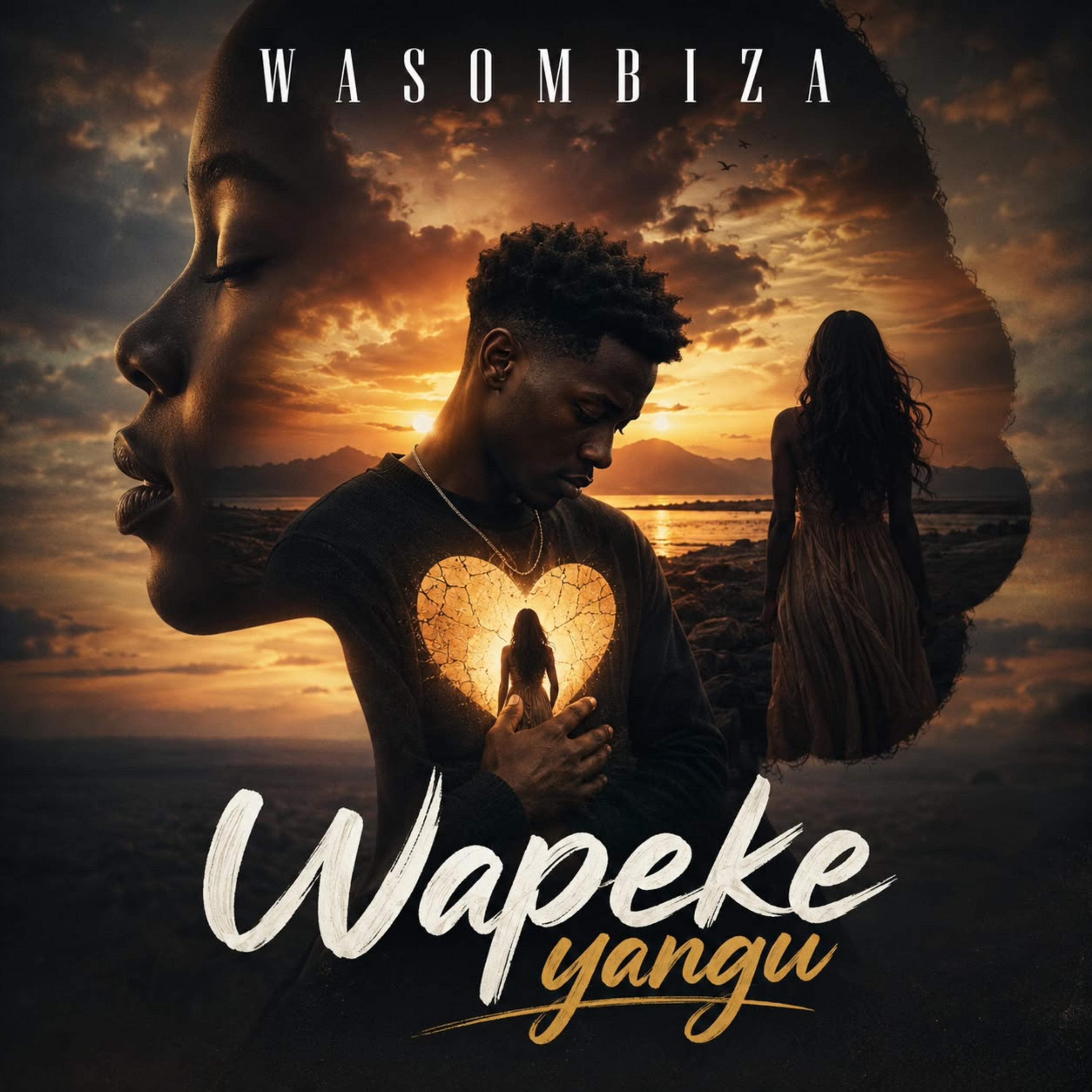 Wapeke yangu by Wasombiza cover art