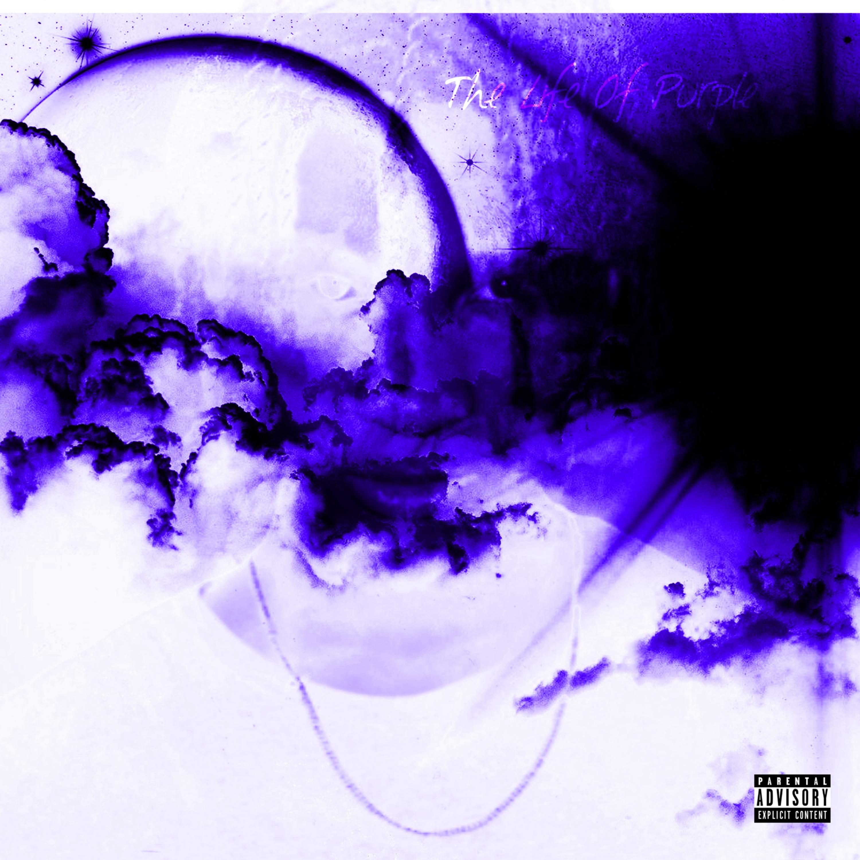 The Life Of Purple, Vol. 1 artwork