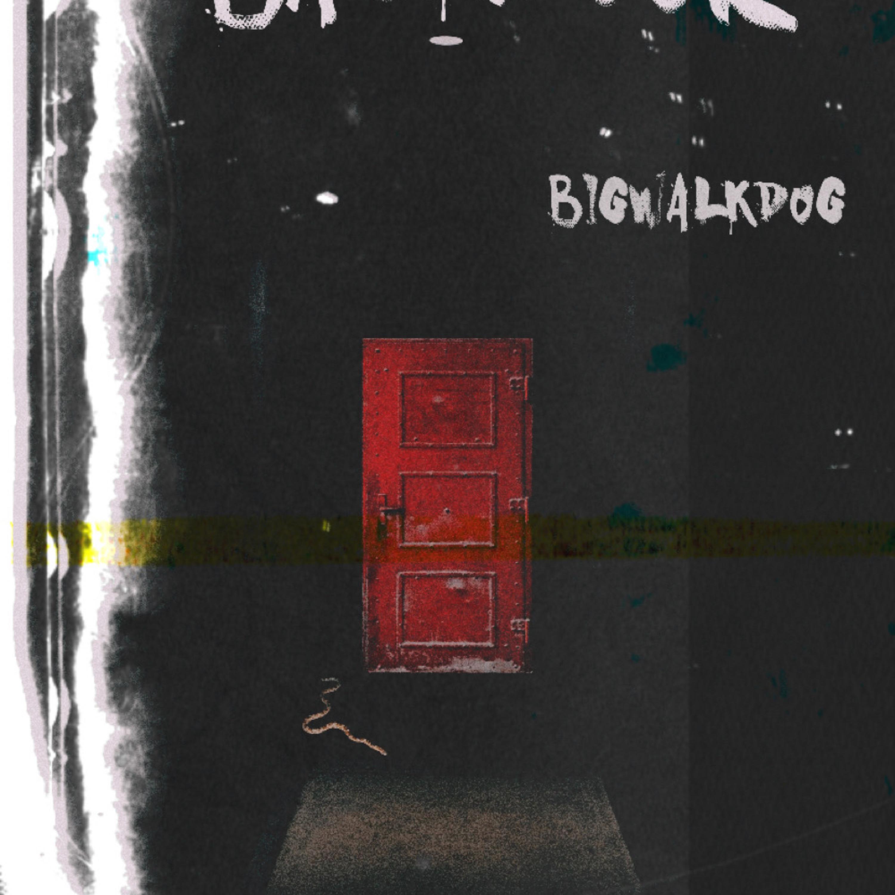 BackDoor artwork