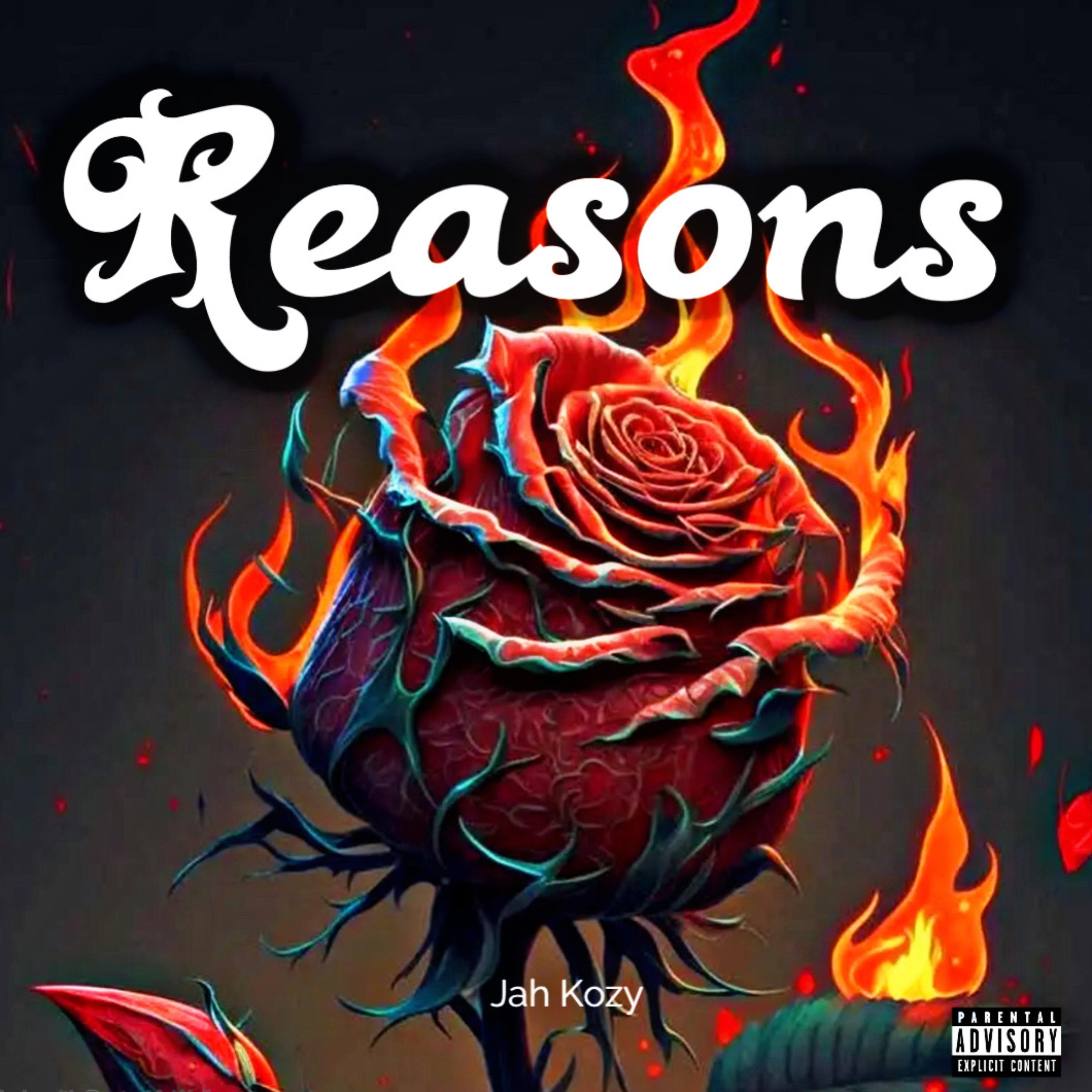 Reasons artwork