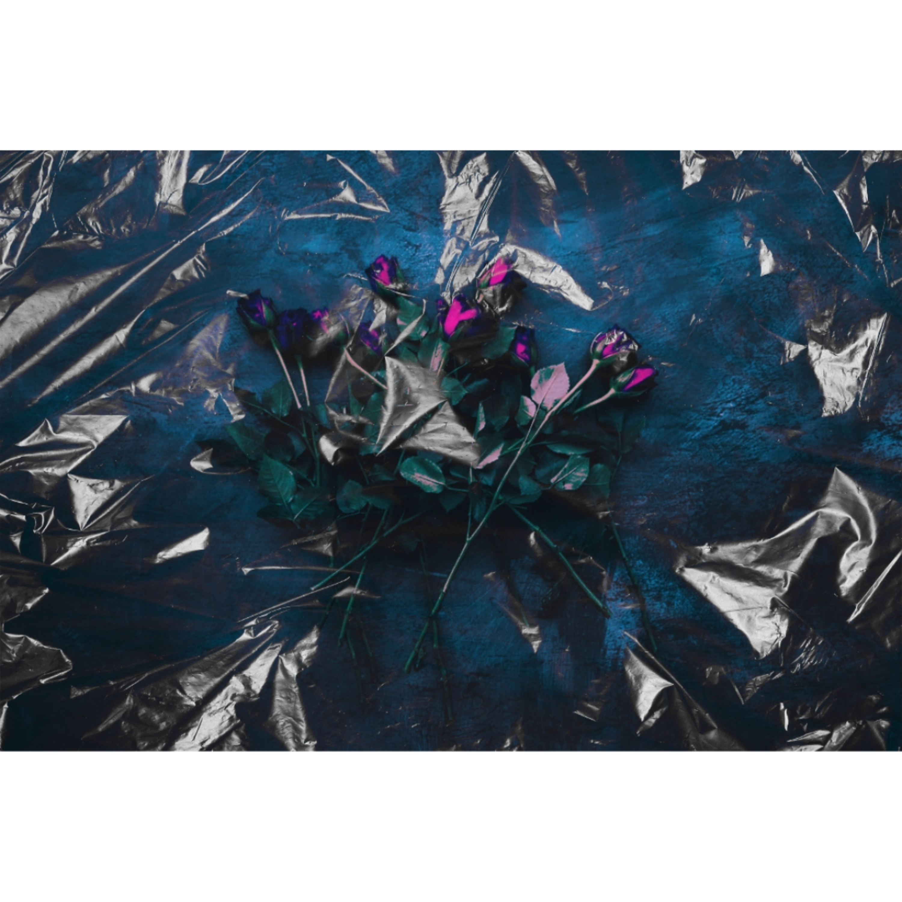 No Hook artwork