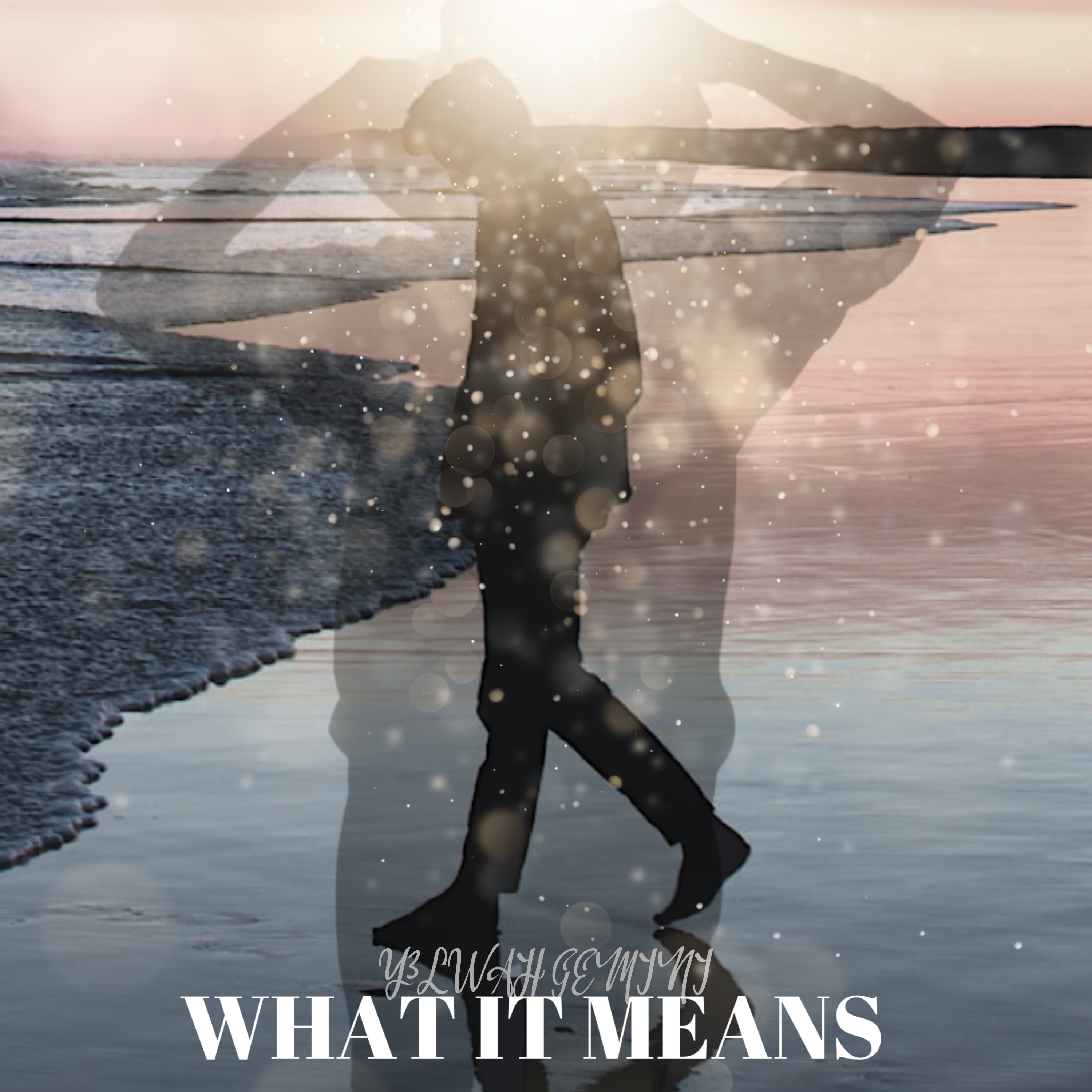 What It Means artwork