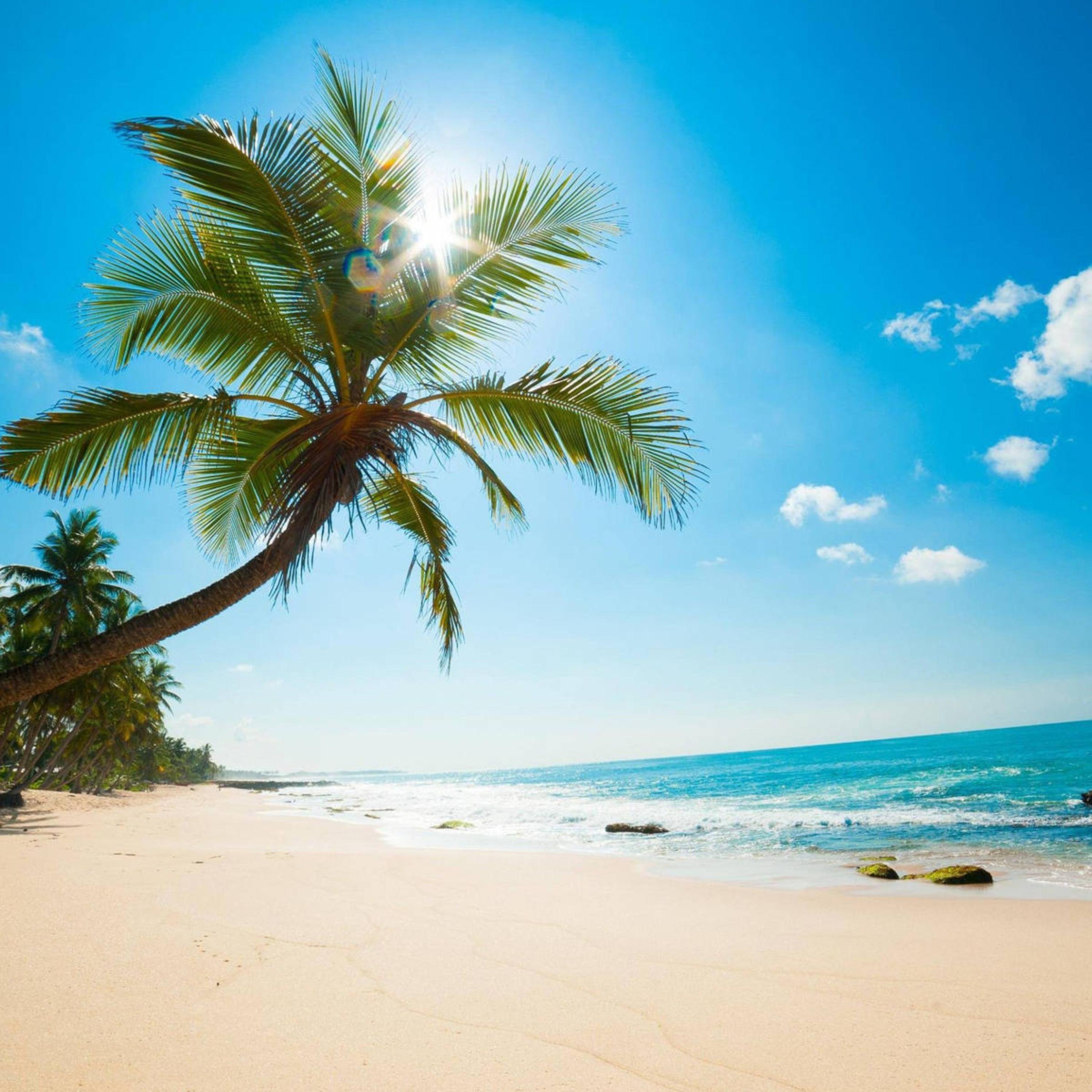 Feel That Moment Right Now artwork