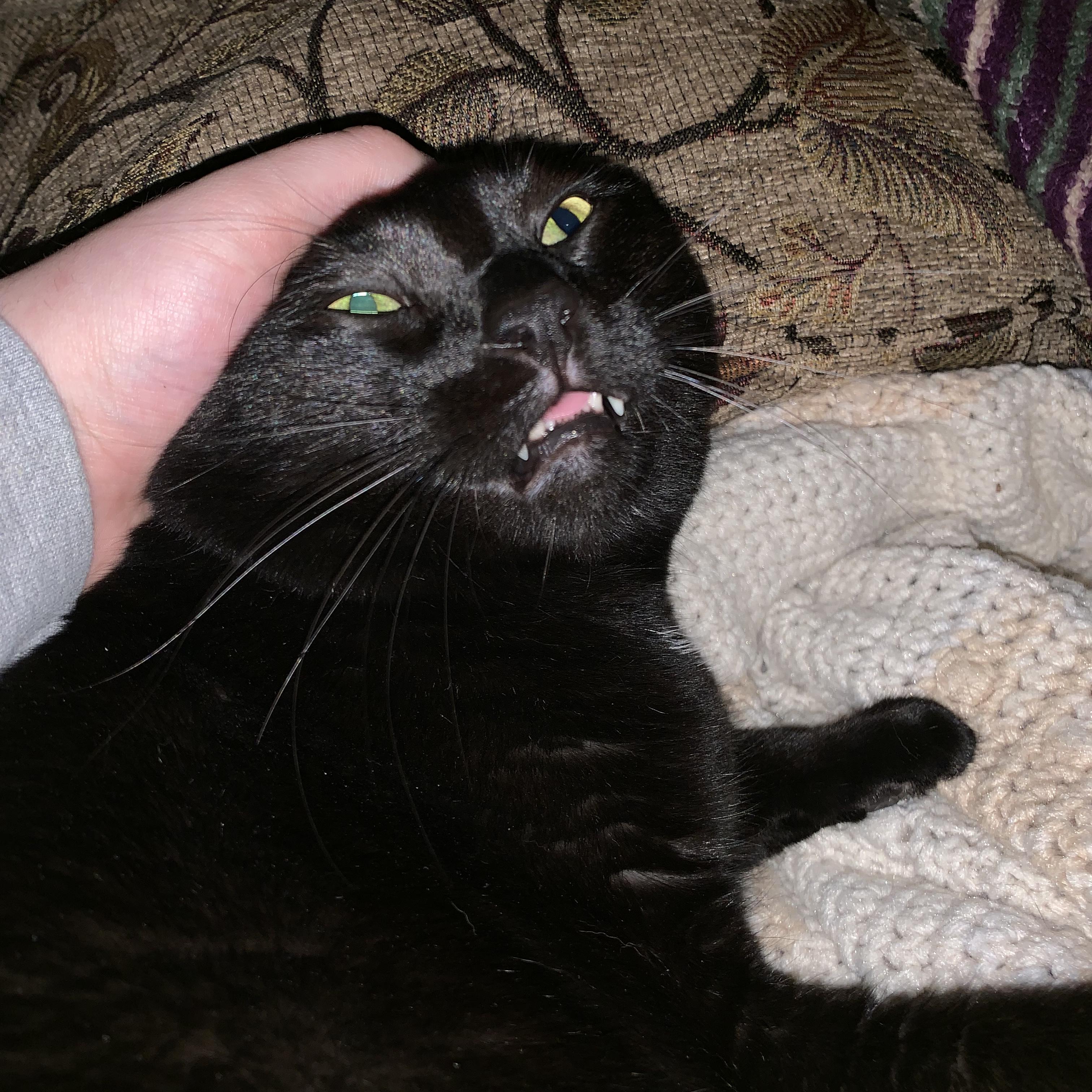 Remember Your Friends artwork