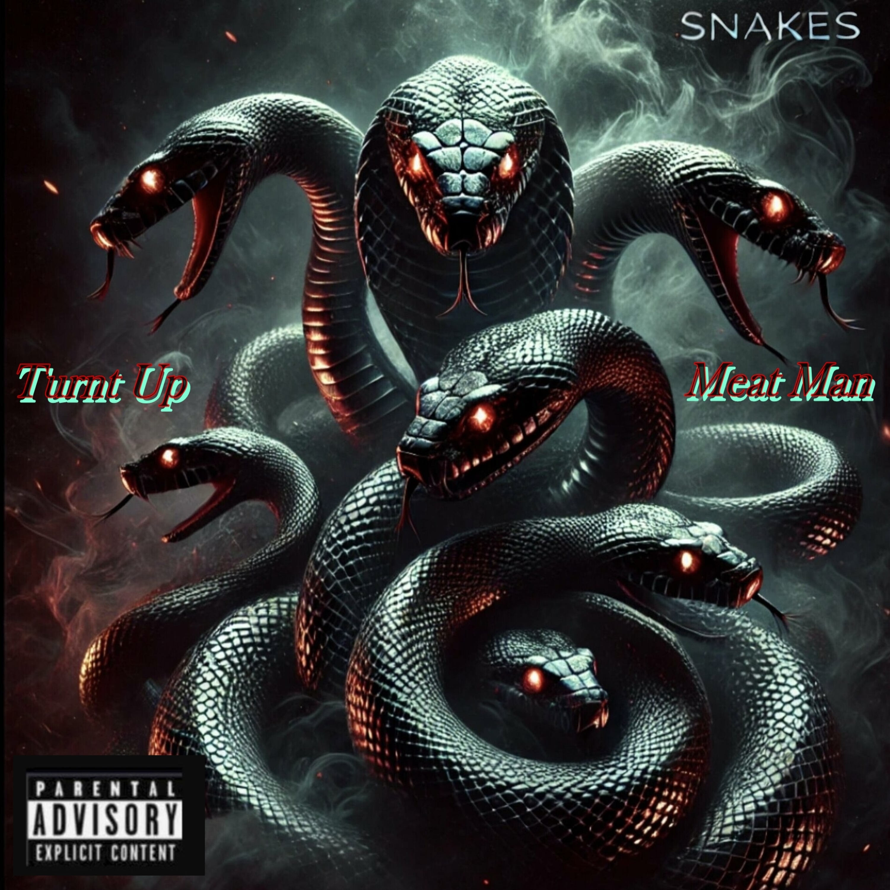 Snakes artwork