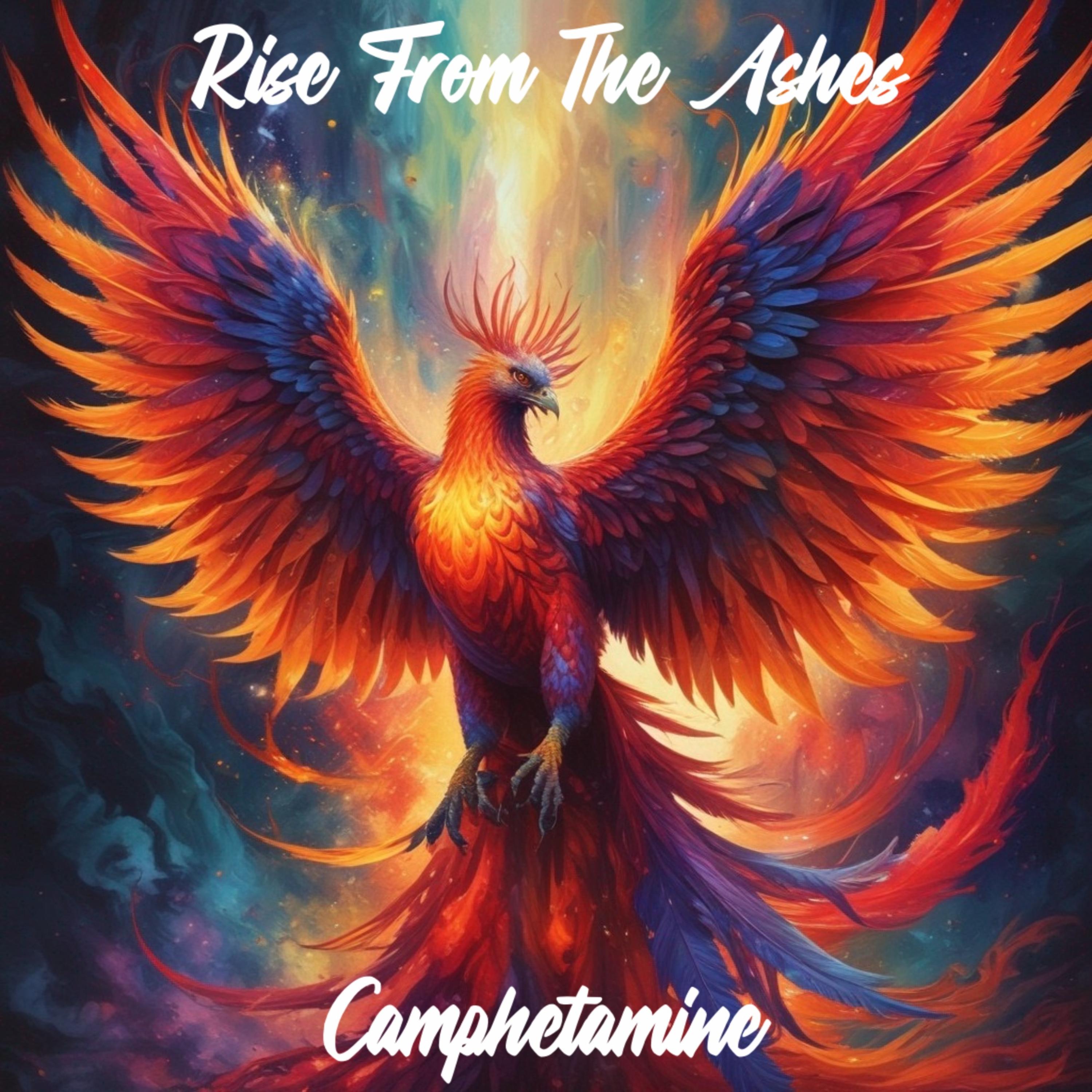Rise From The Ashes artwork