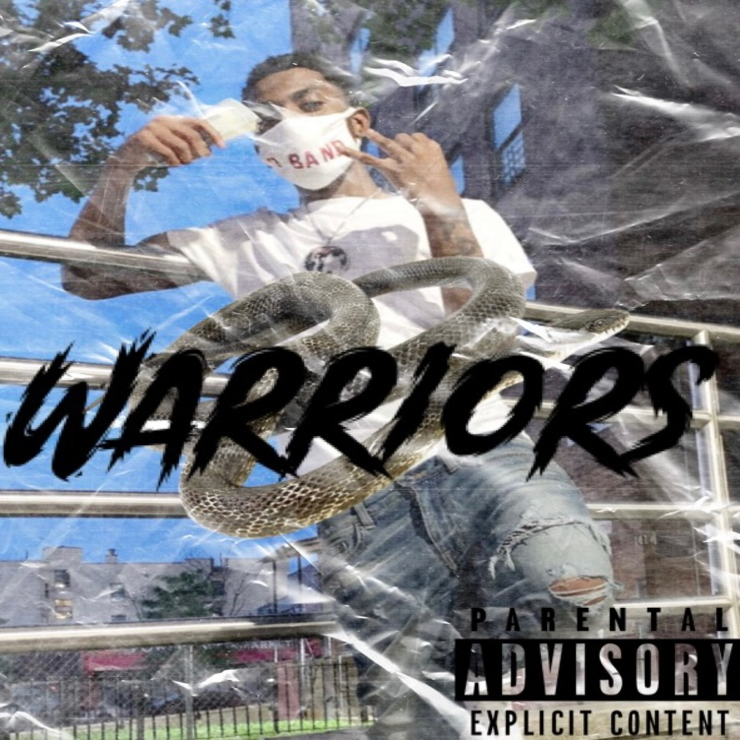 Warriors artwork