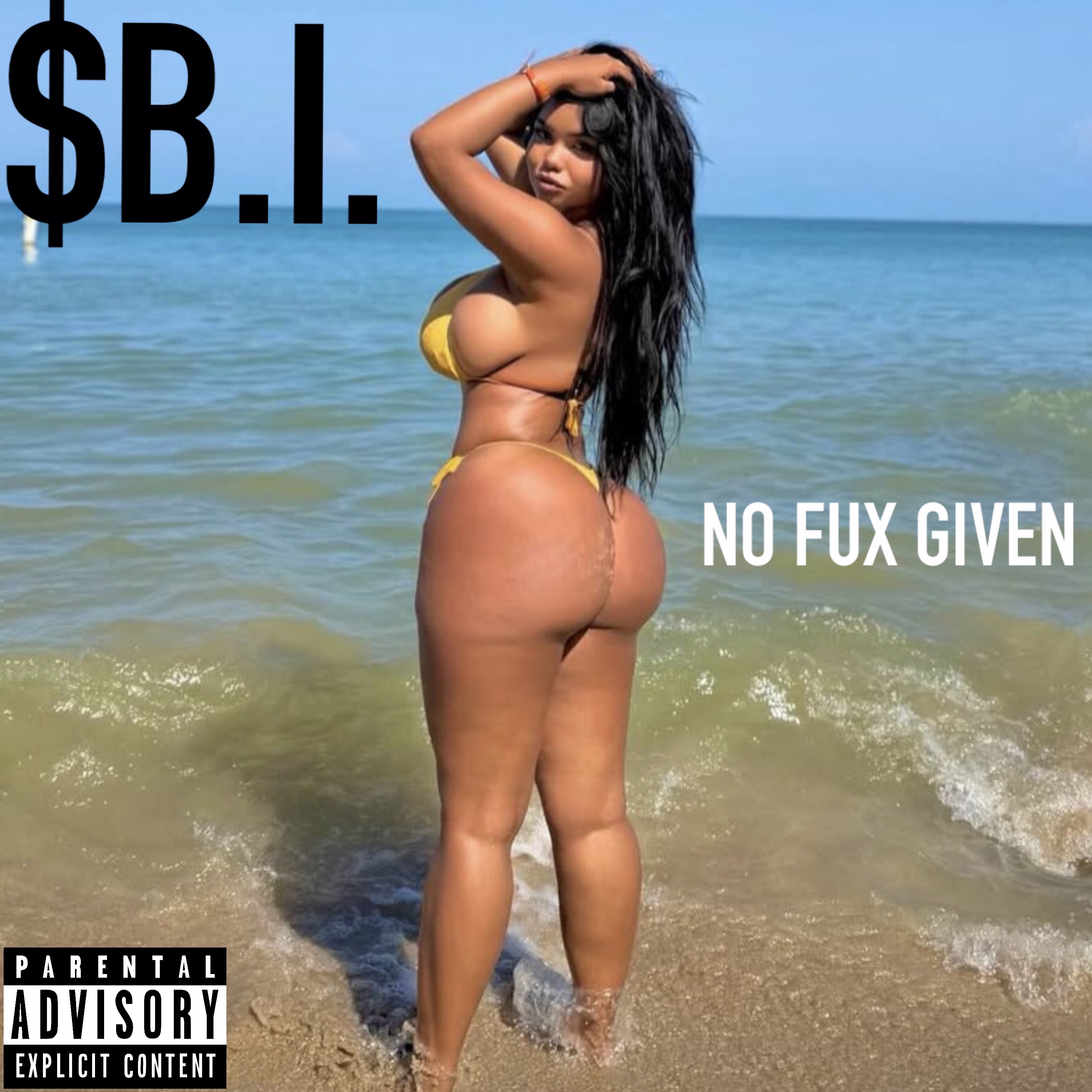 NO FUX GIVEN artwork