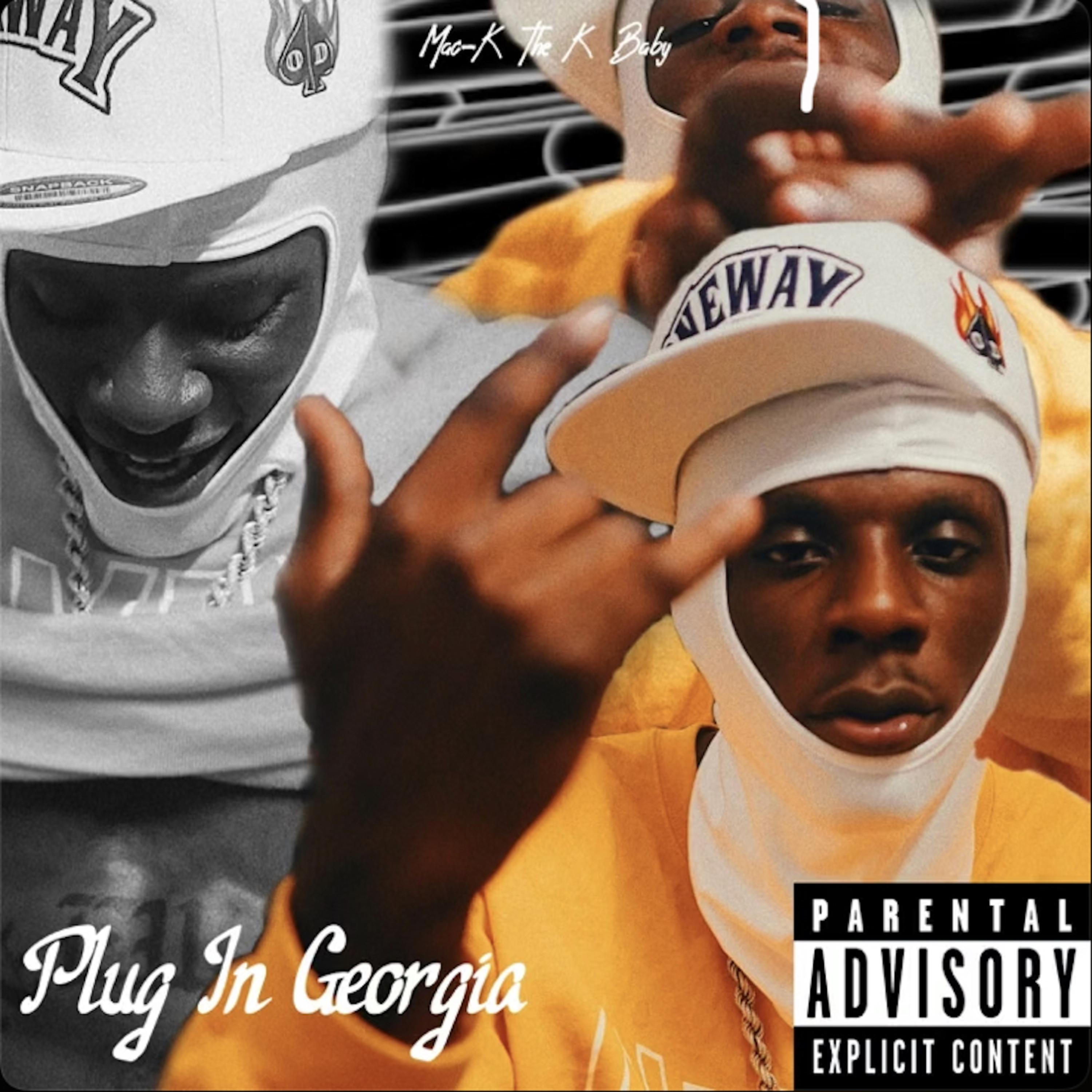 Plug in Georgia artwork