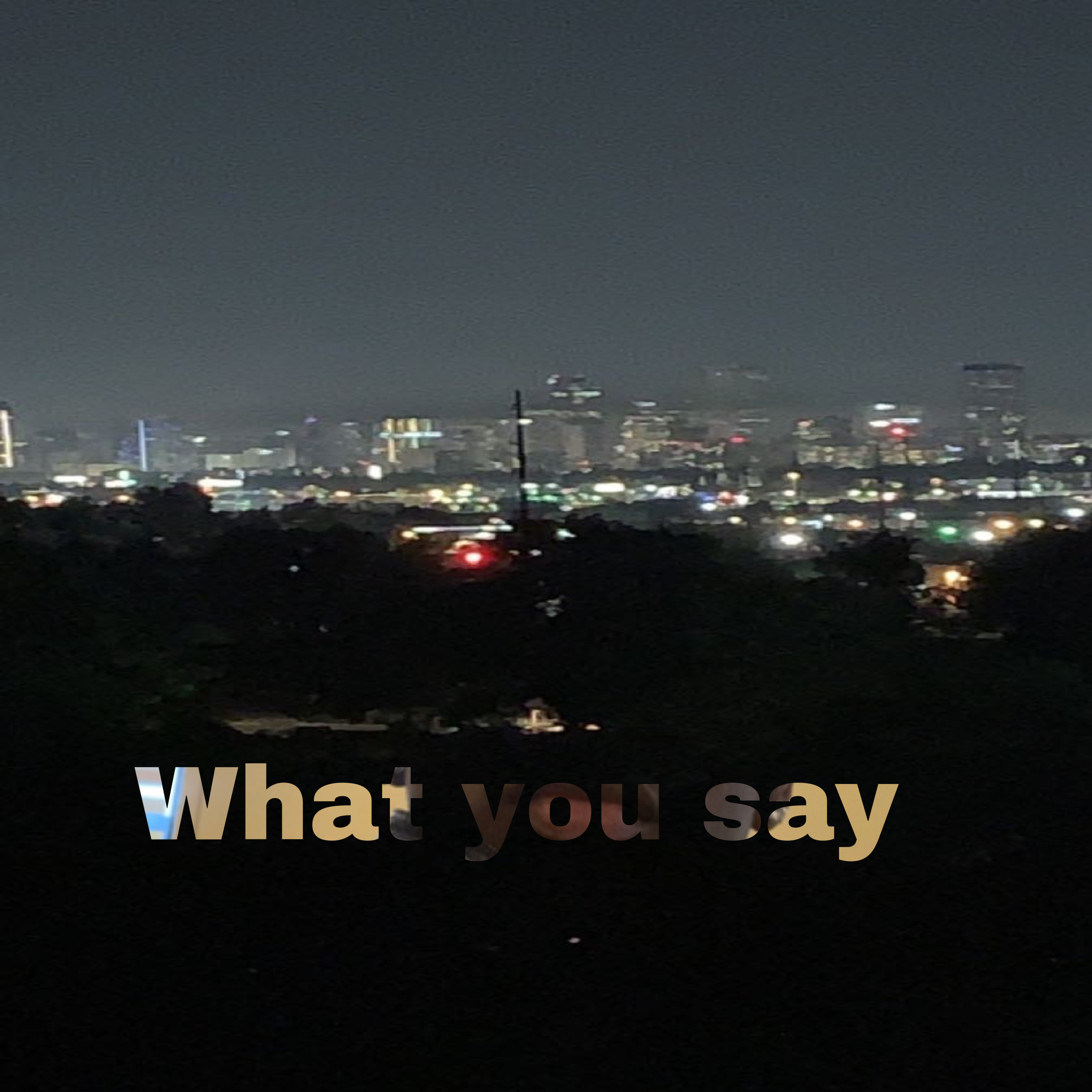 What You say artwork