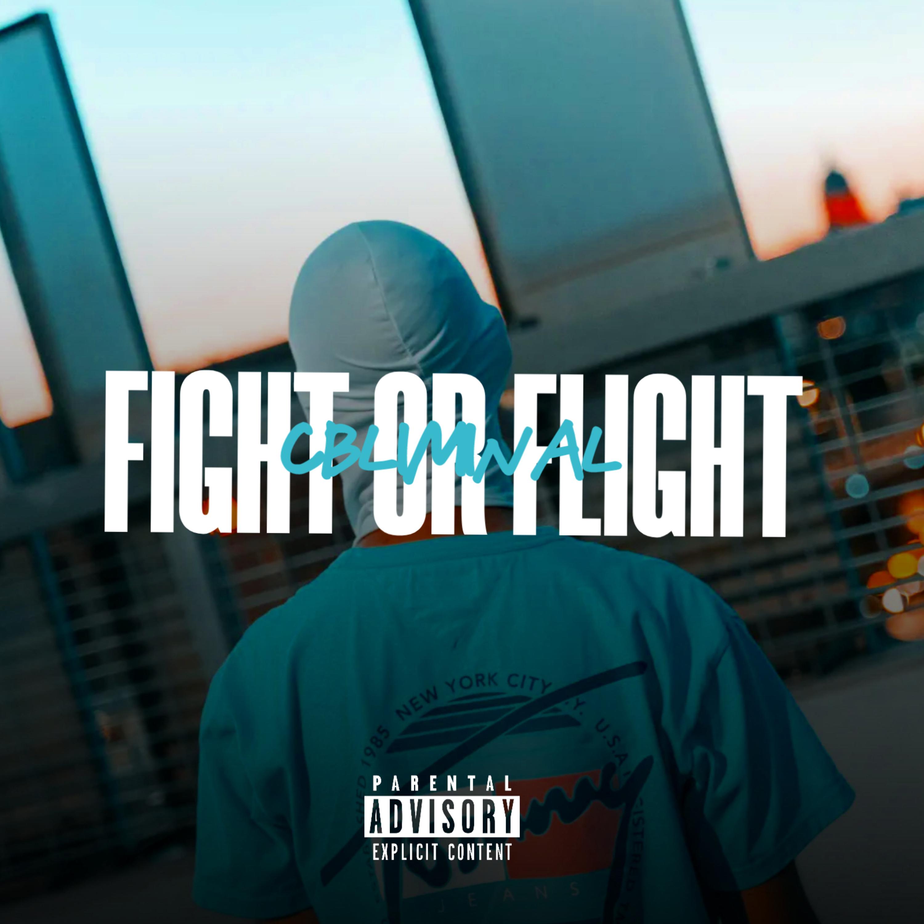 Fight Or Flight artwork