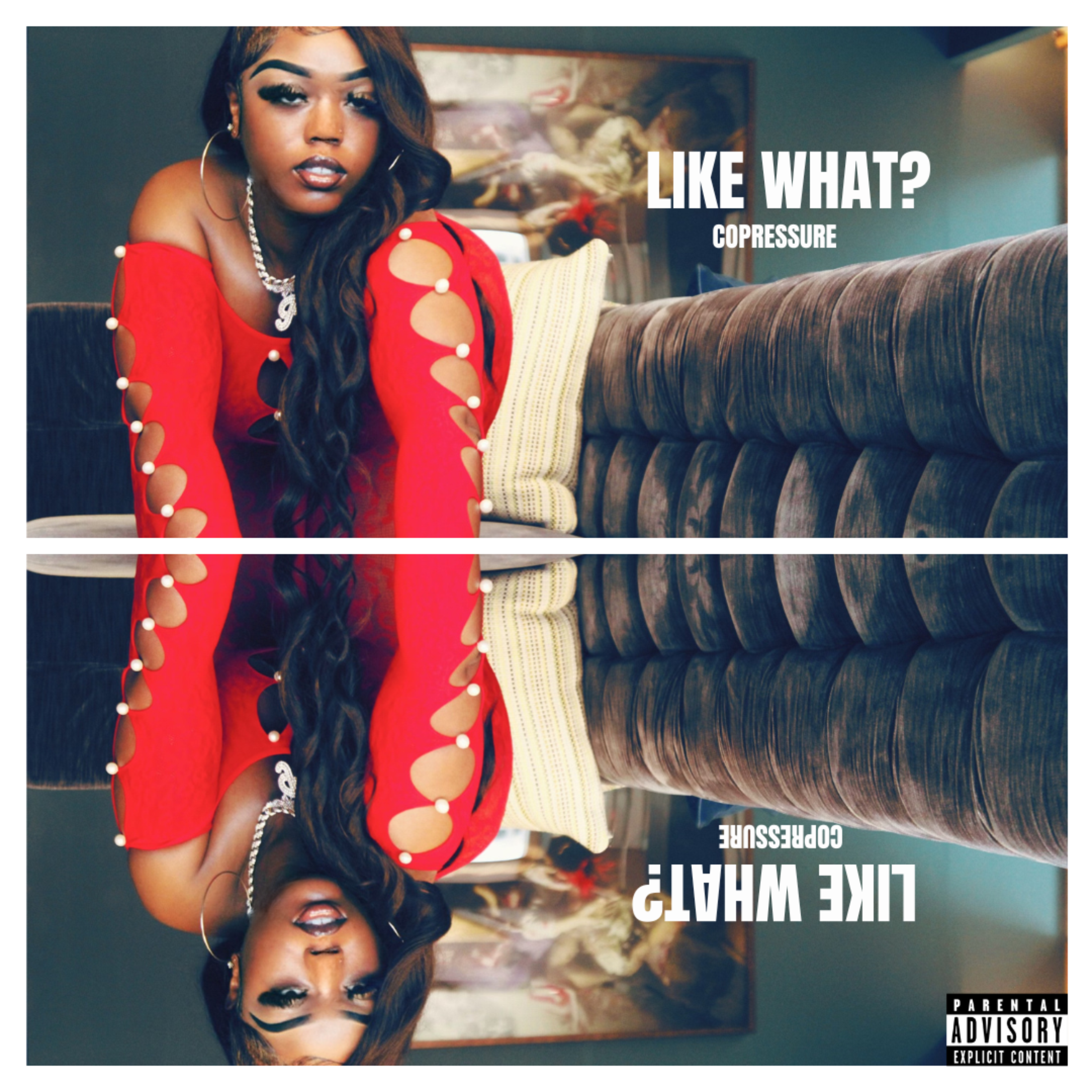 LIKE WHAT? artwork