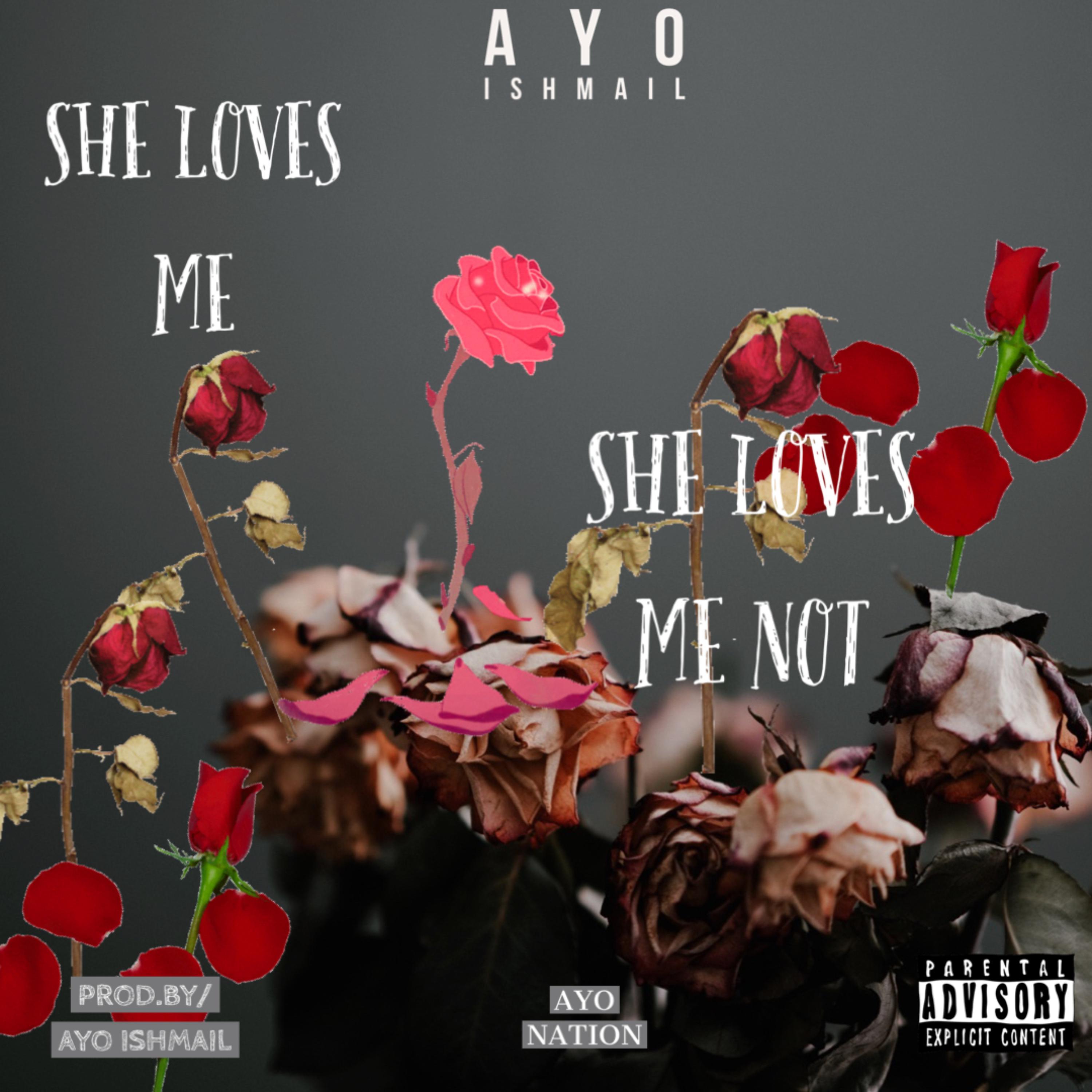 SHE LOVES ME,SHE LOVES ME NOT artwork
