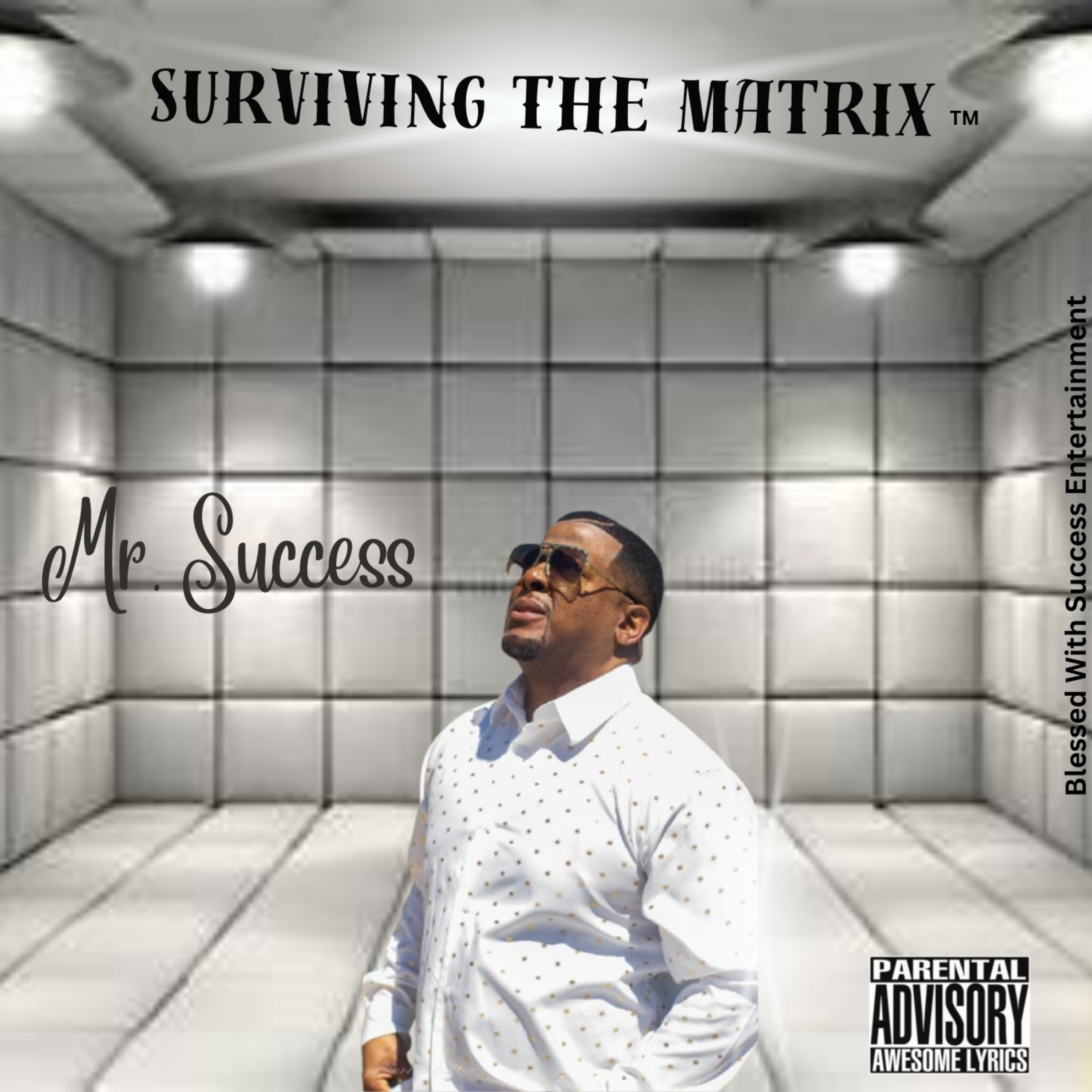 Survive The Matrix artwork