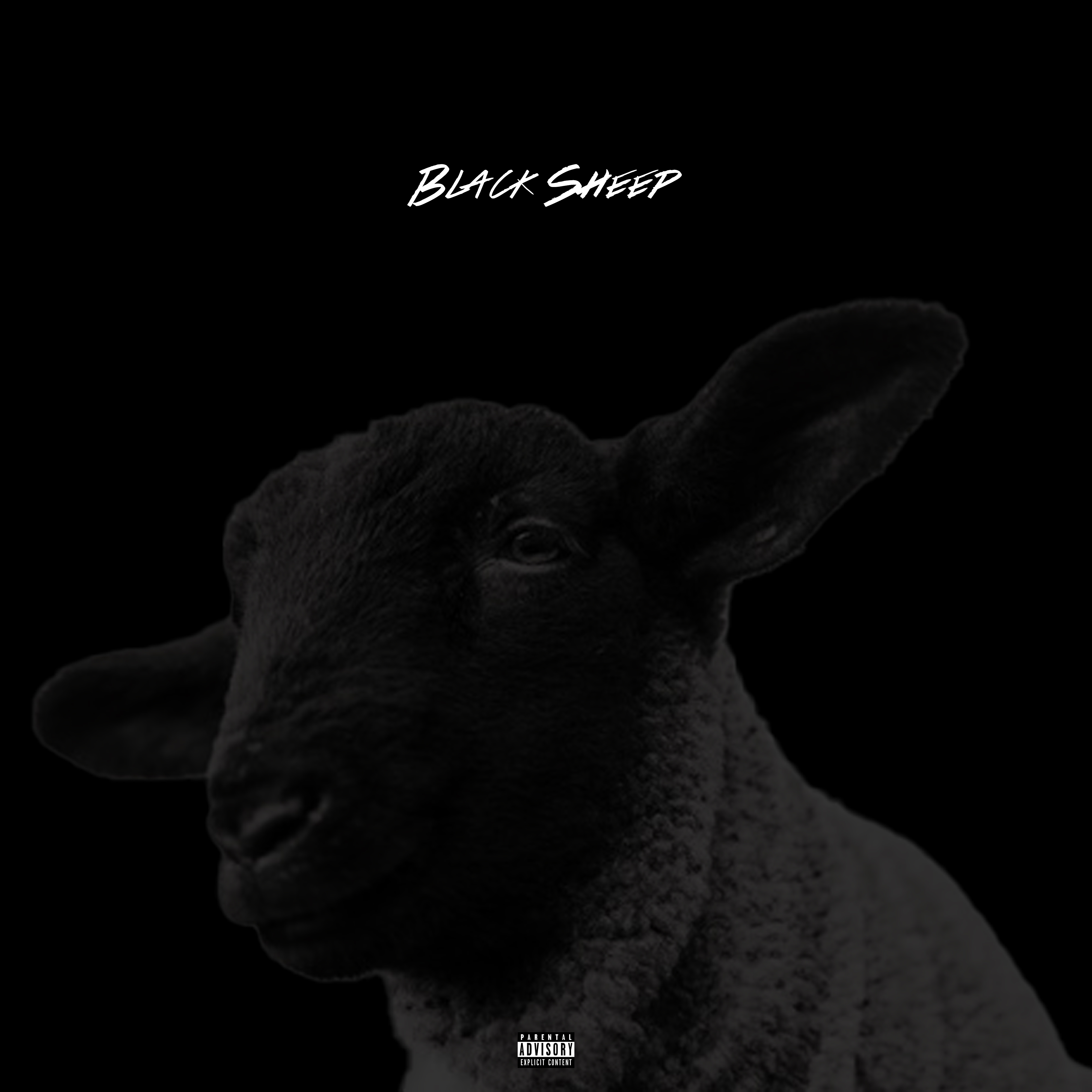Black Sheep by Ra Matthews cover art