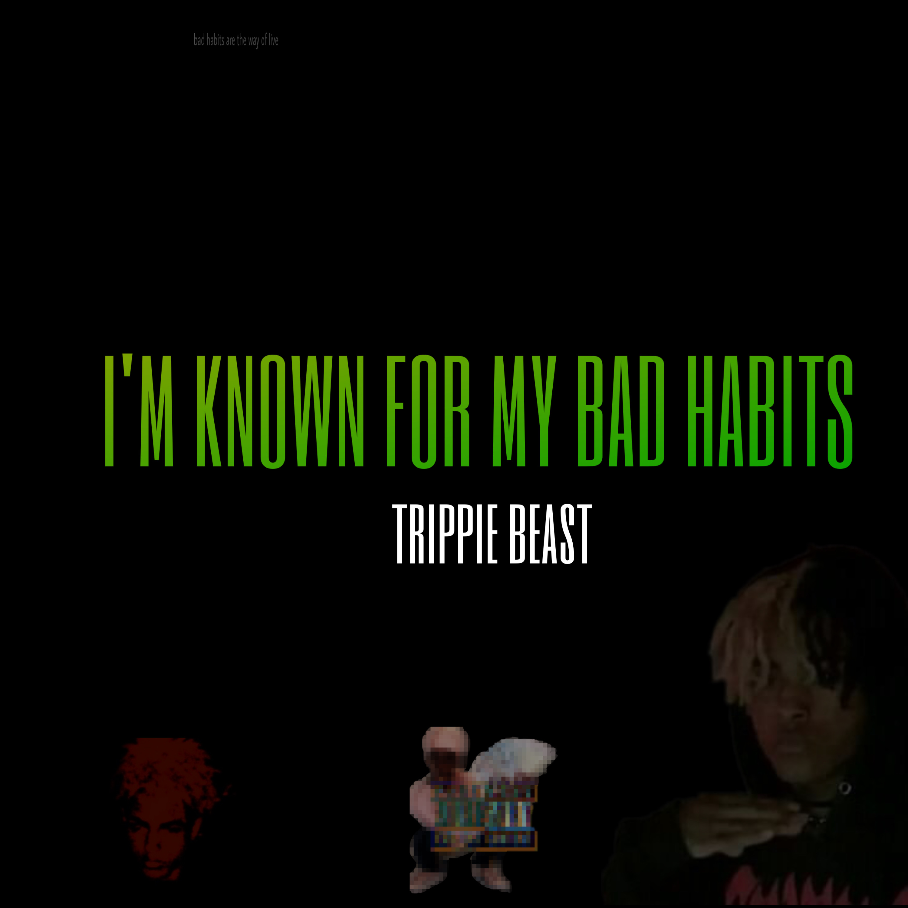i'm known for my bad habits artwork