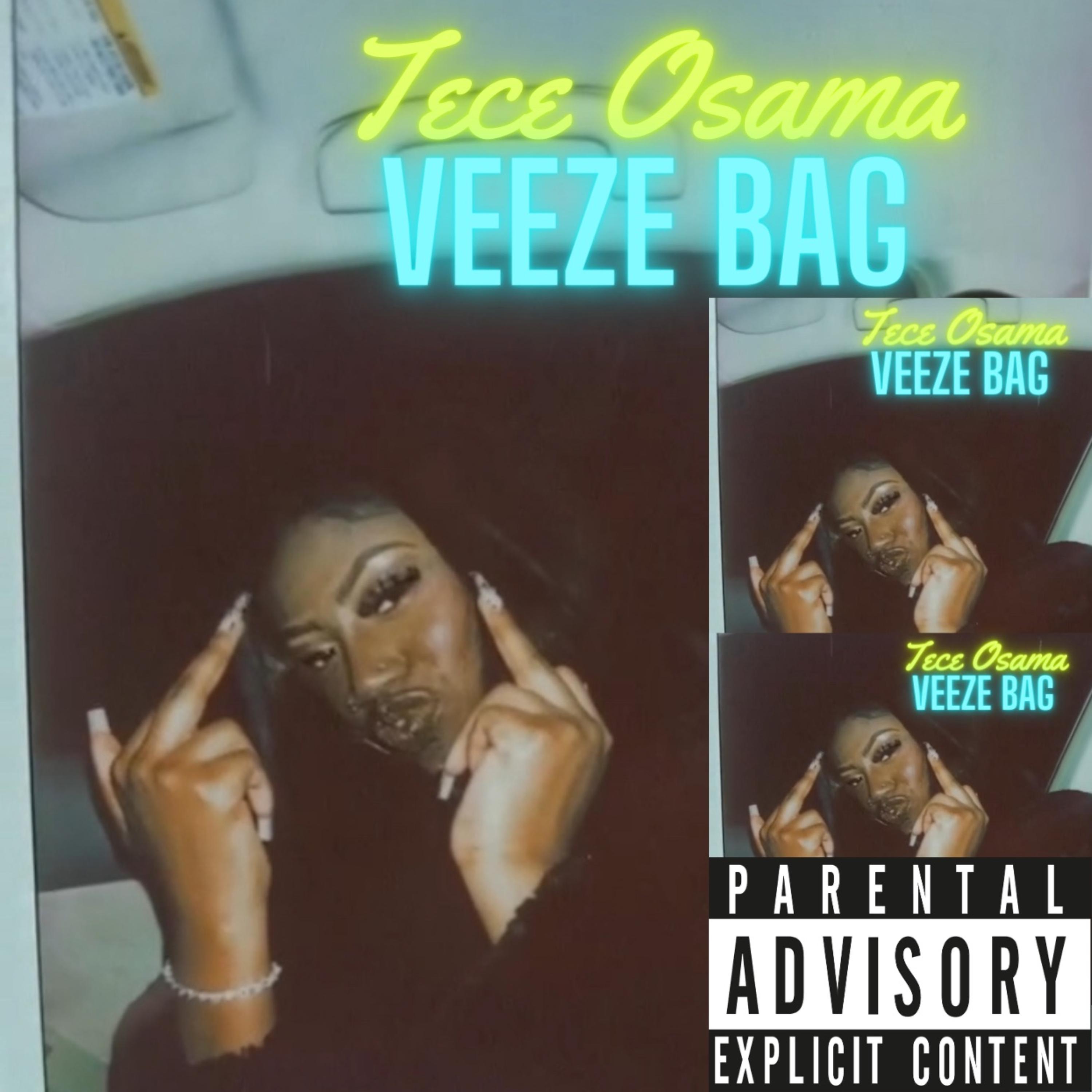 Veeze Bag artwork