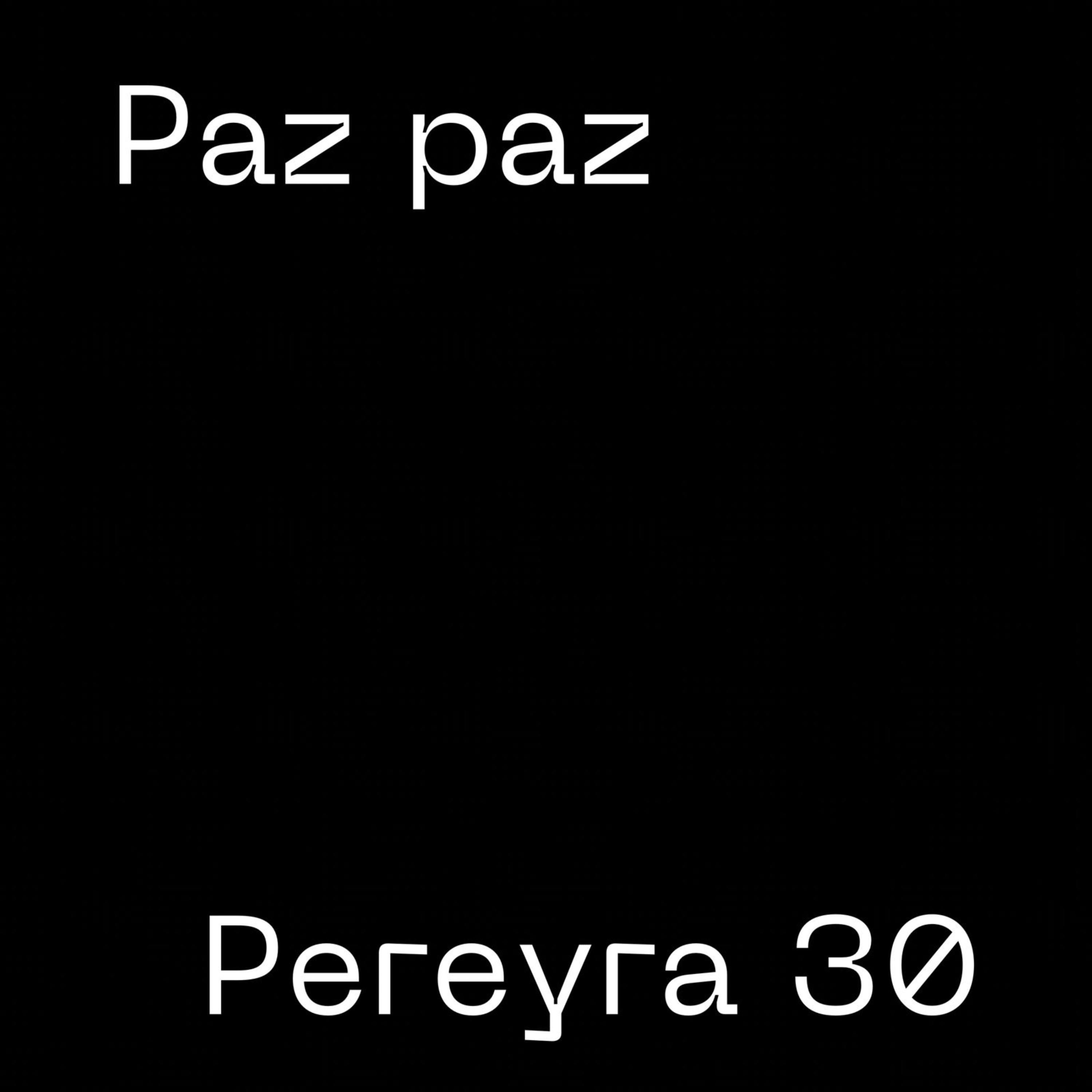 Paz Paz artwork