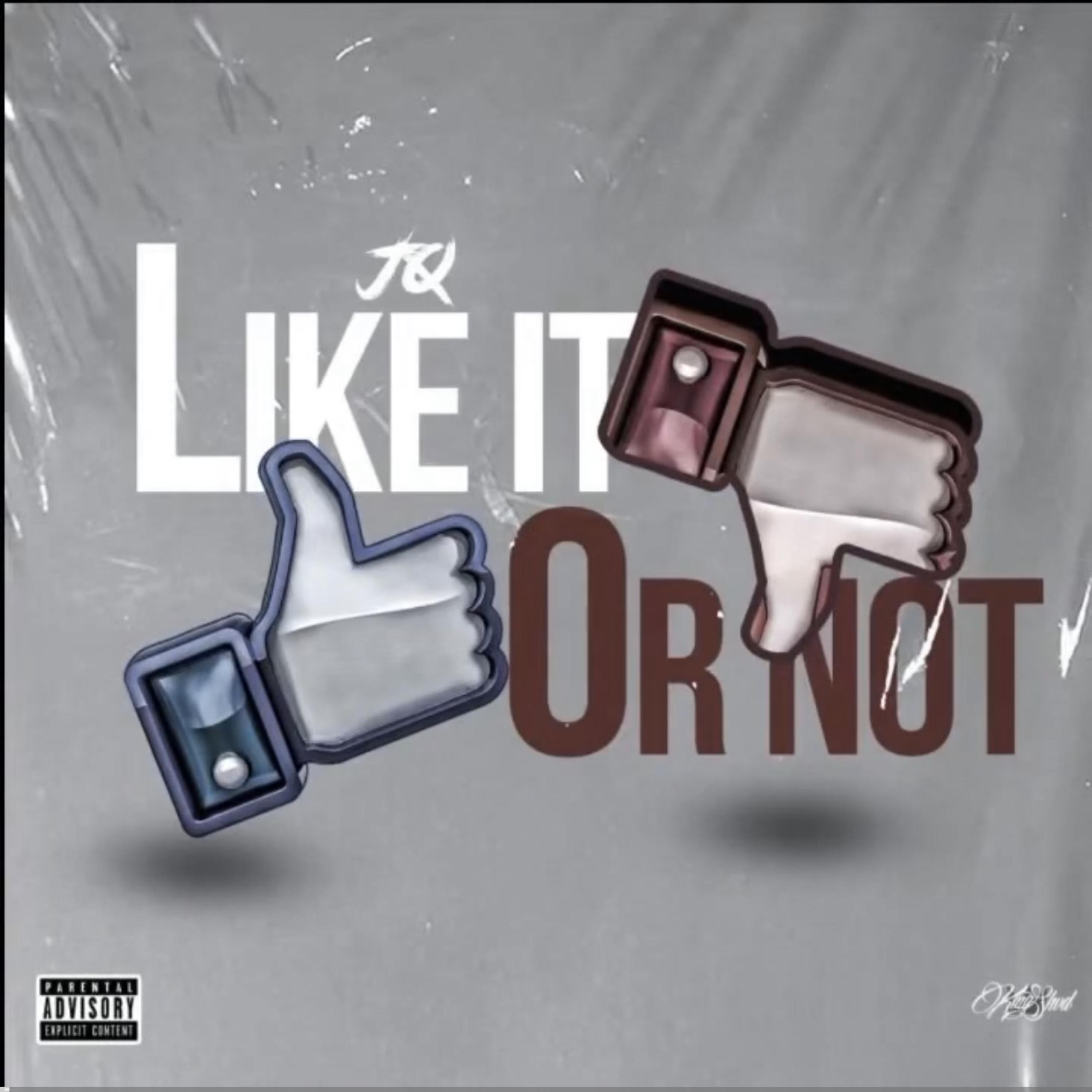 LIKE IT OR NOT artwork