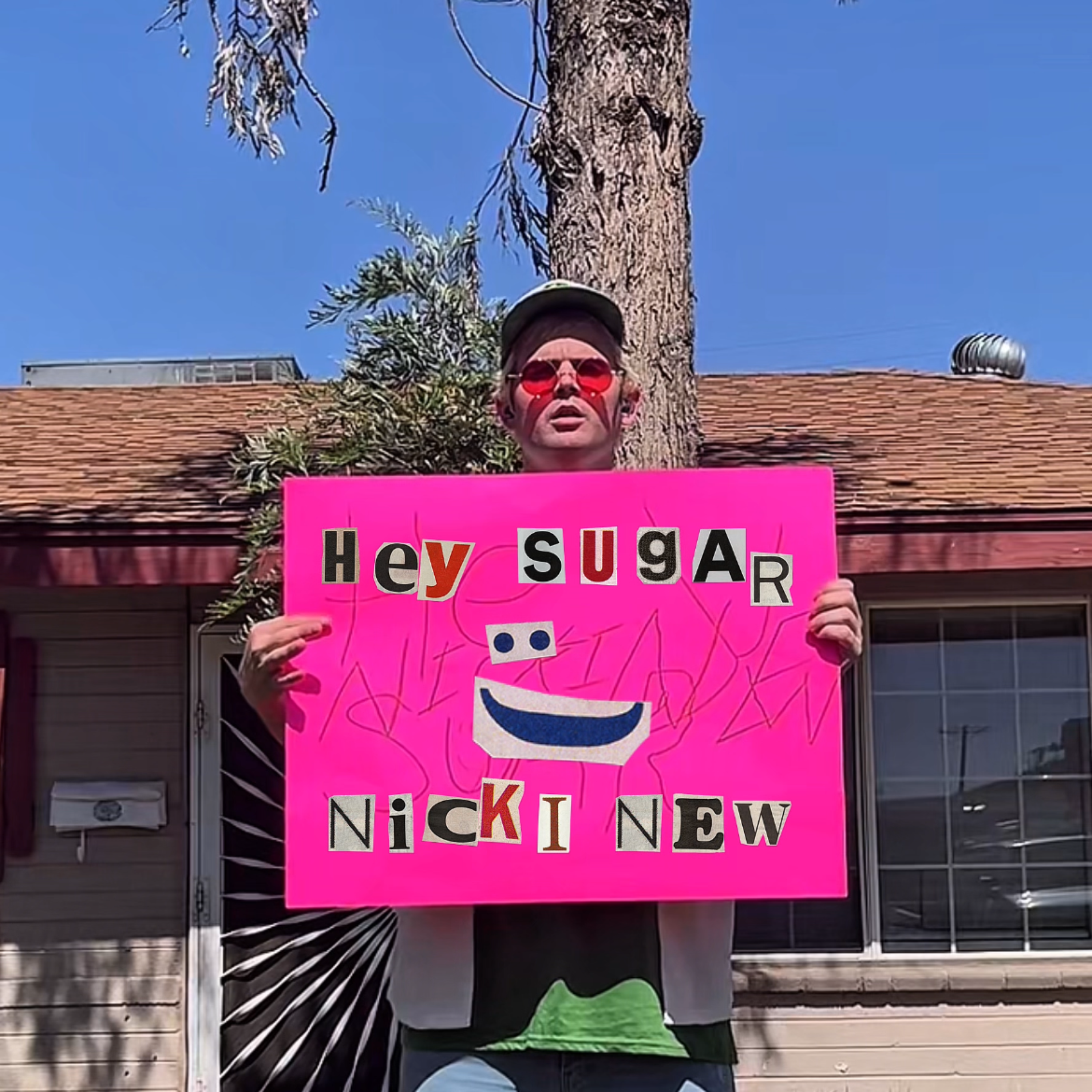 Hey Sugar artwork