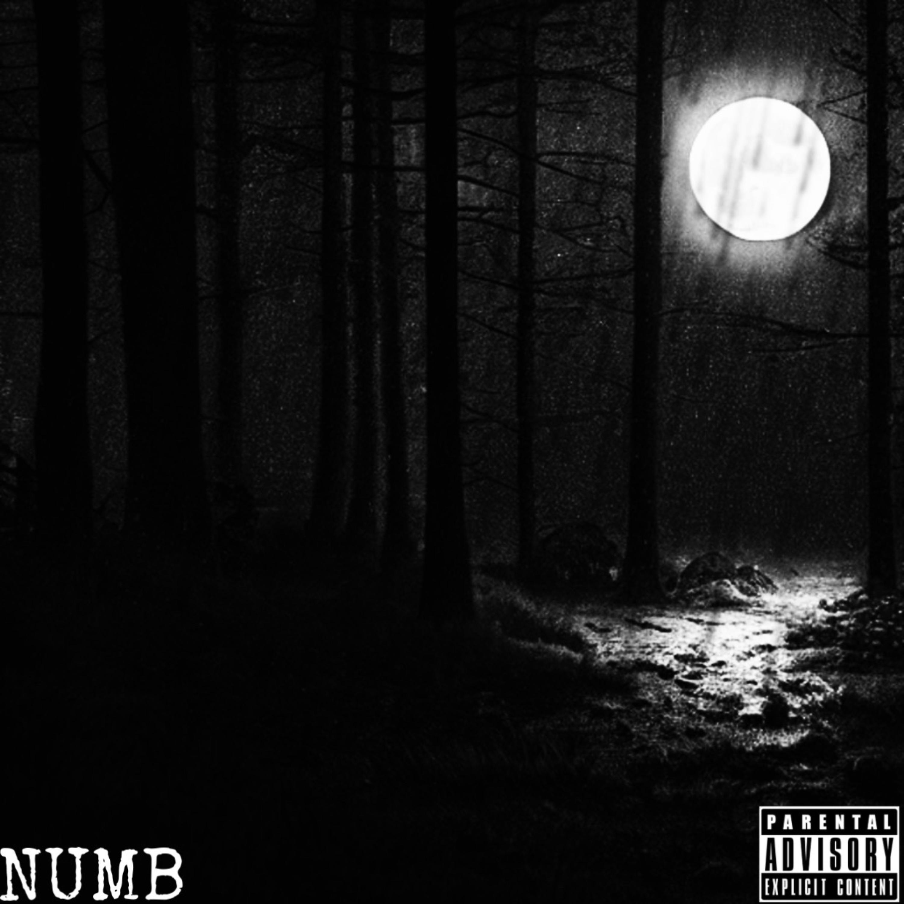 Numb artwork