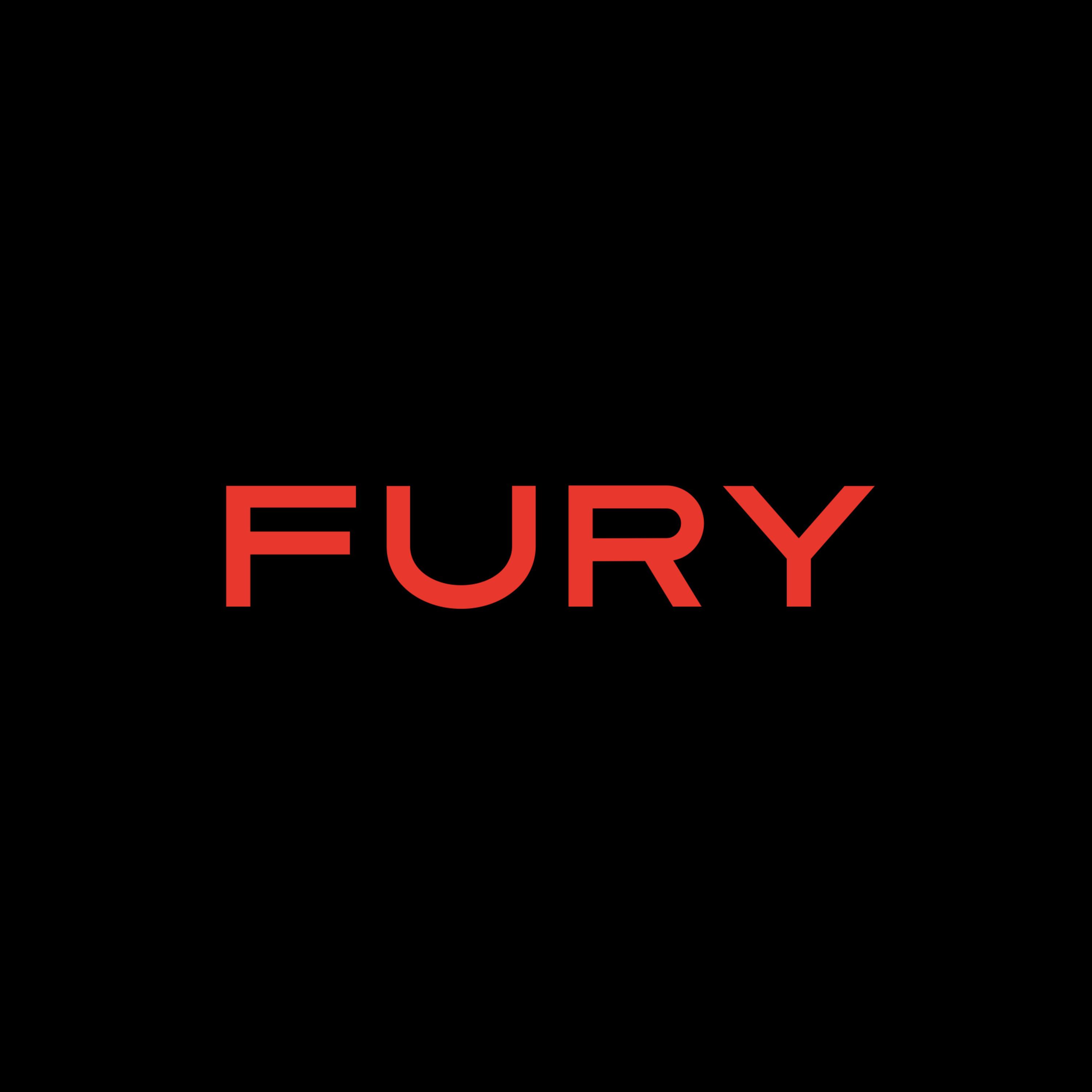FURY artwork