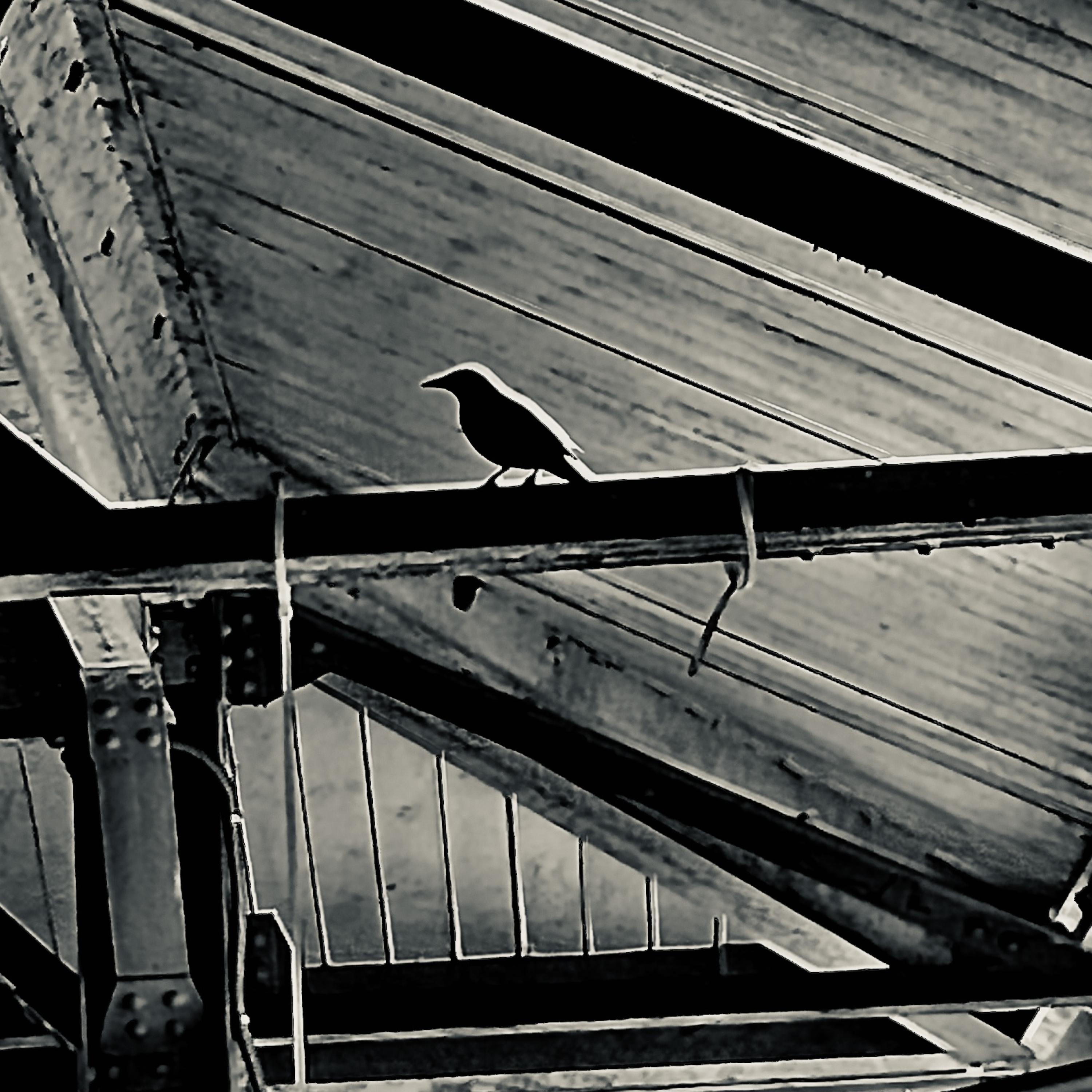 DoYouLikeScaryMovies? artwork