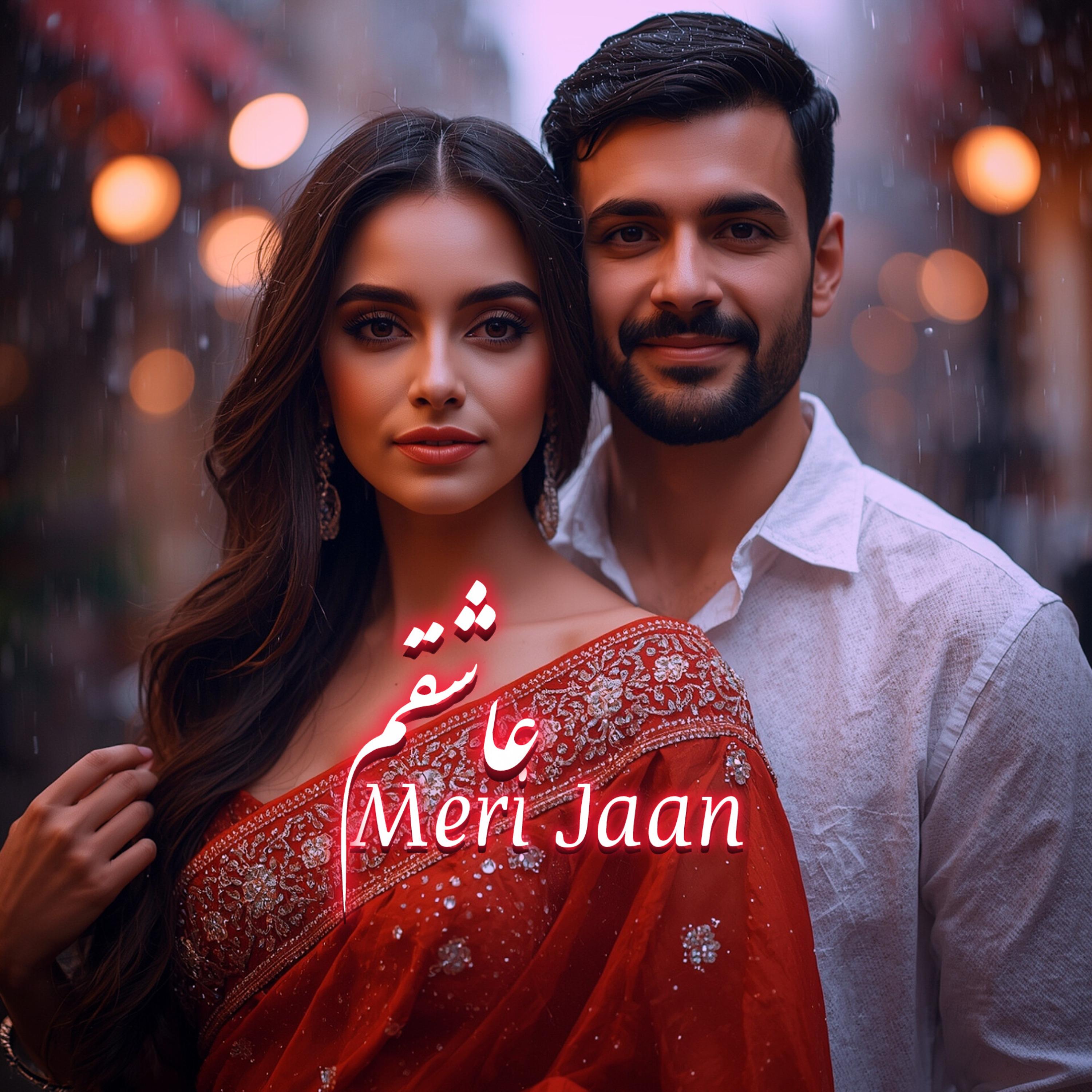Meri Jaan (Hindi X Farsi) artwork