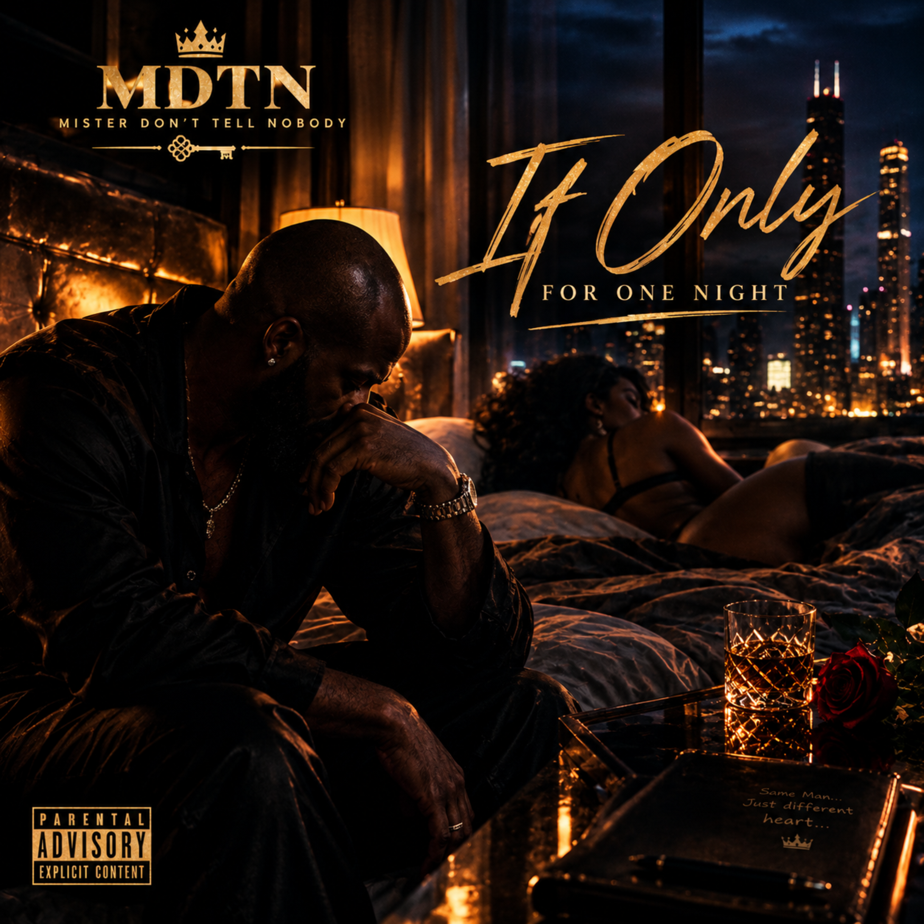 If Only For One Night by Mister Dont Tell nobody cover art