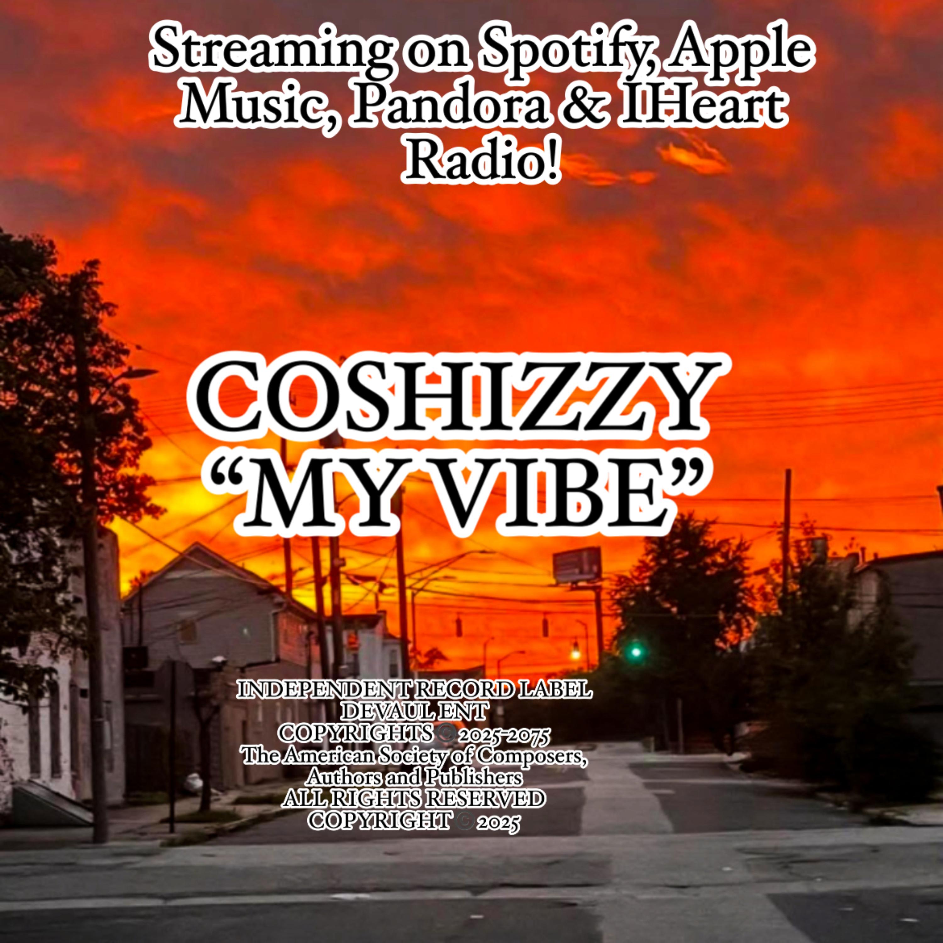 MY VIBE artwork
