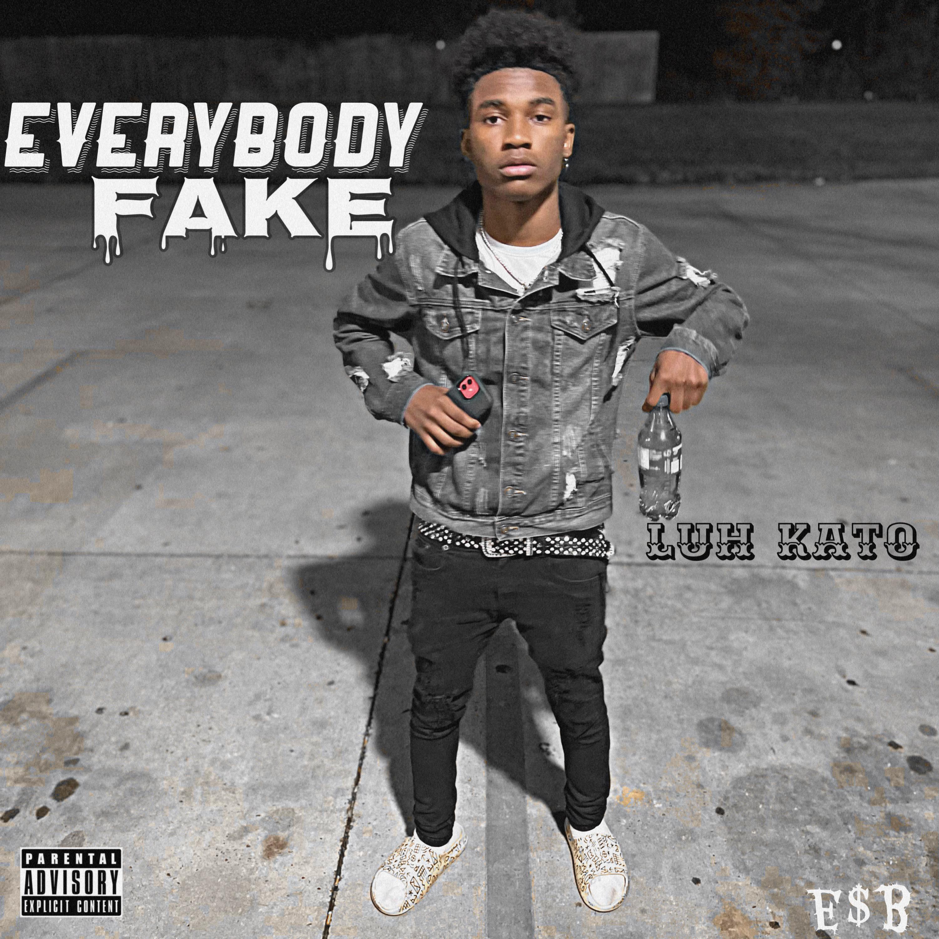 Everybody Fake artwork