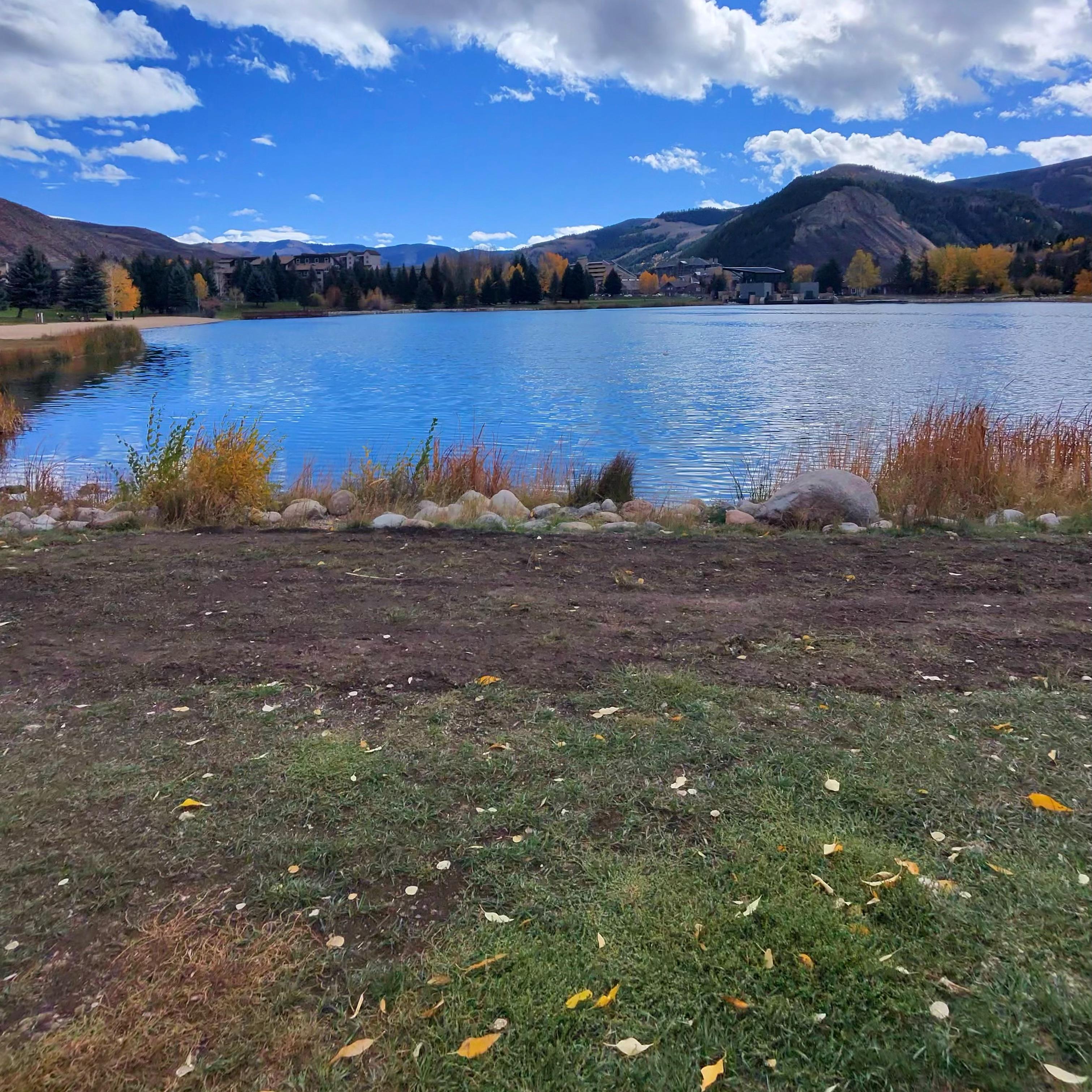 Sweet Home Colorado artwork