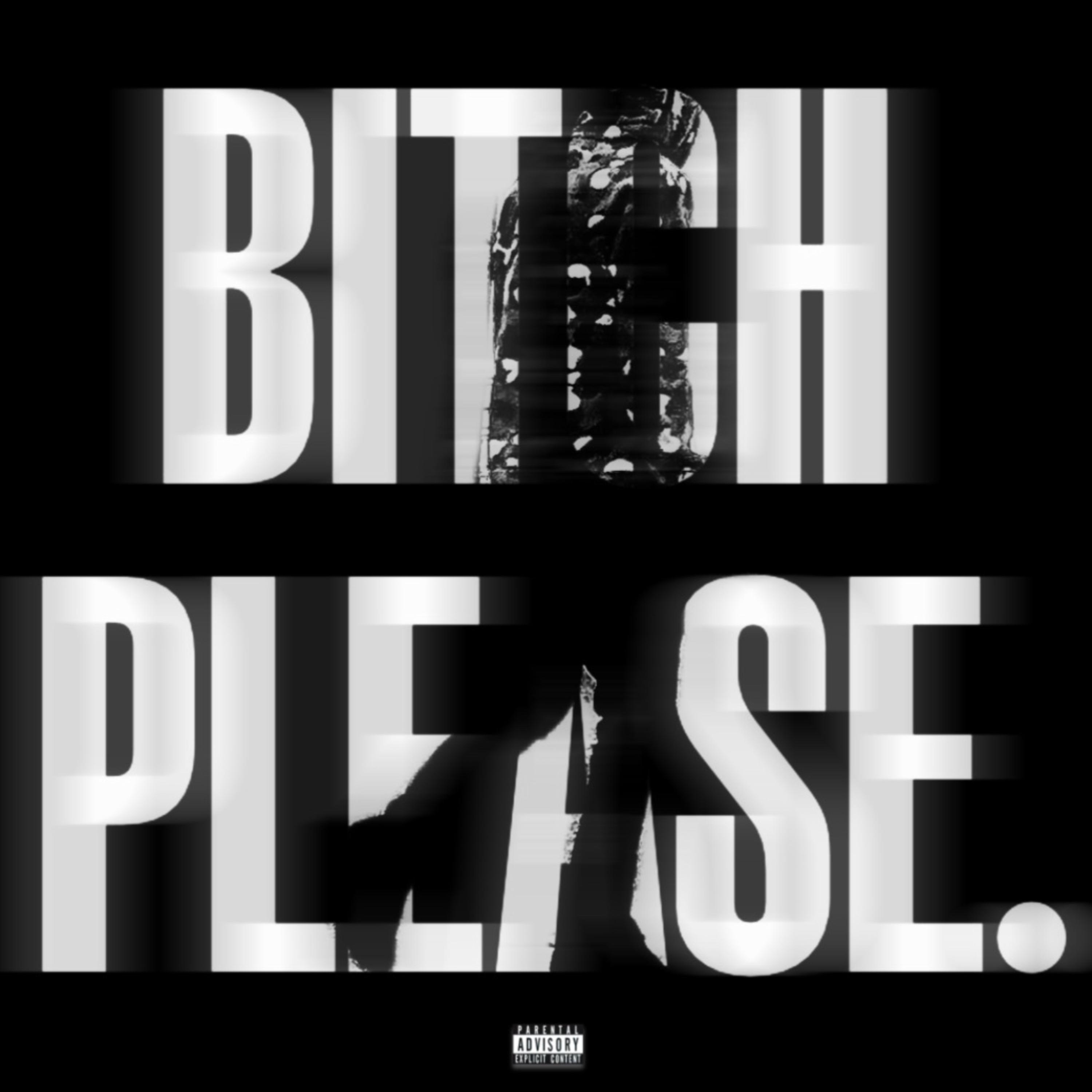Bitch Please. artwork