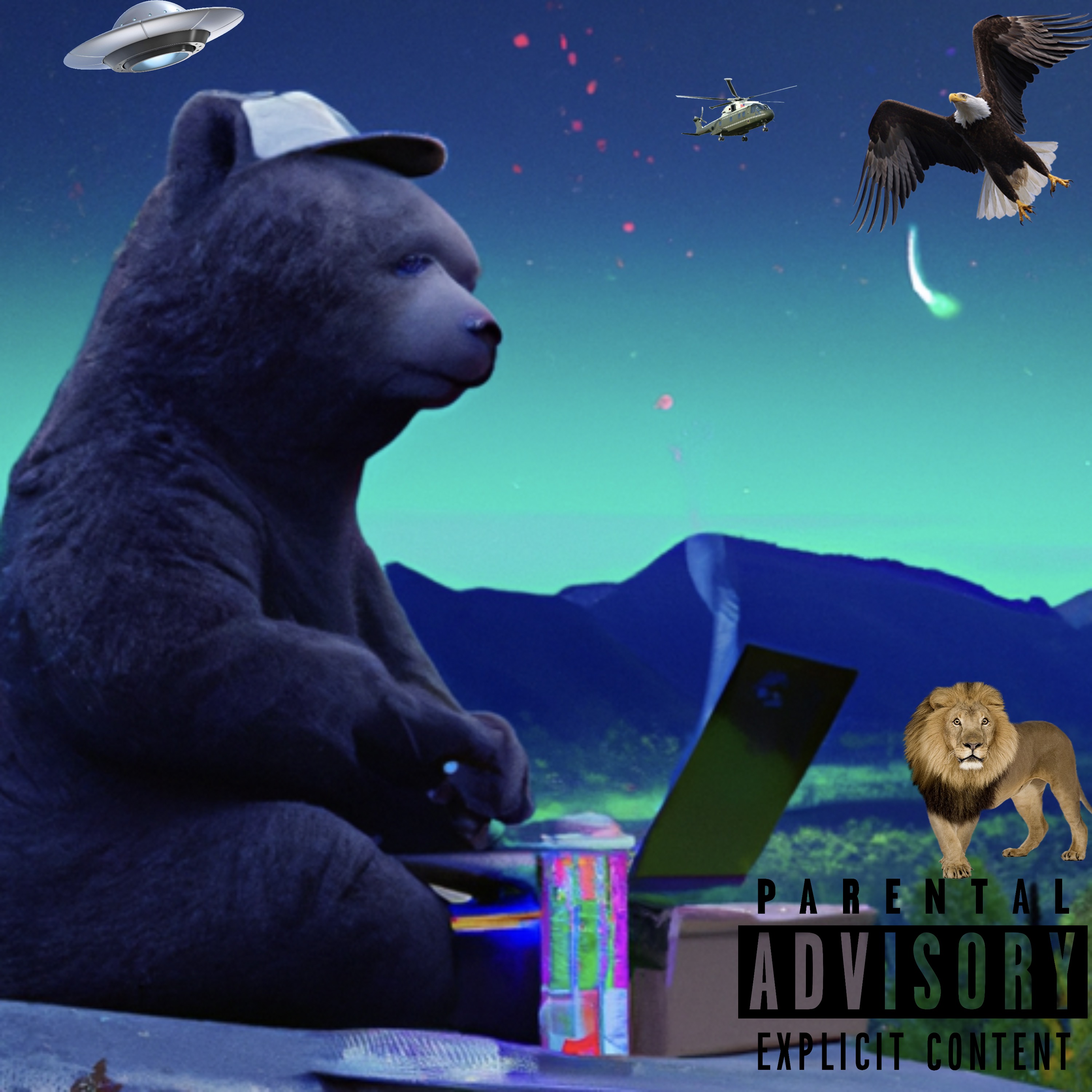 FLY NIGGA artwork