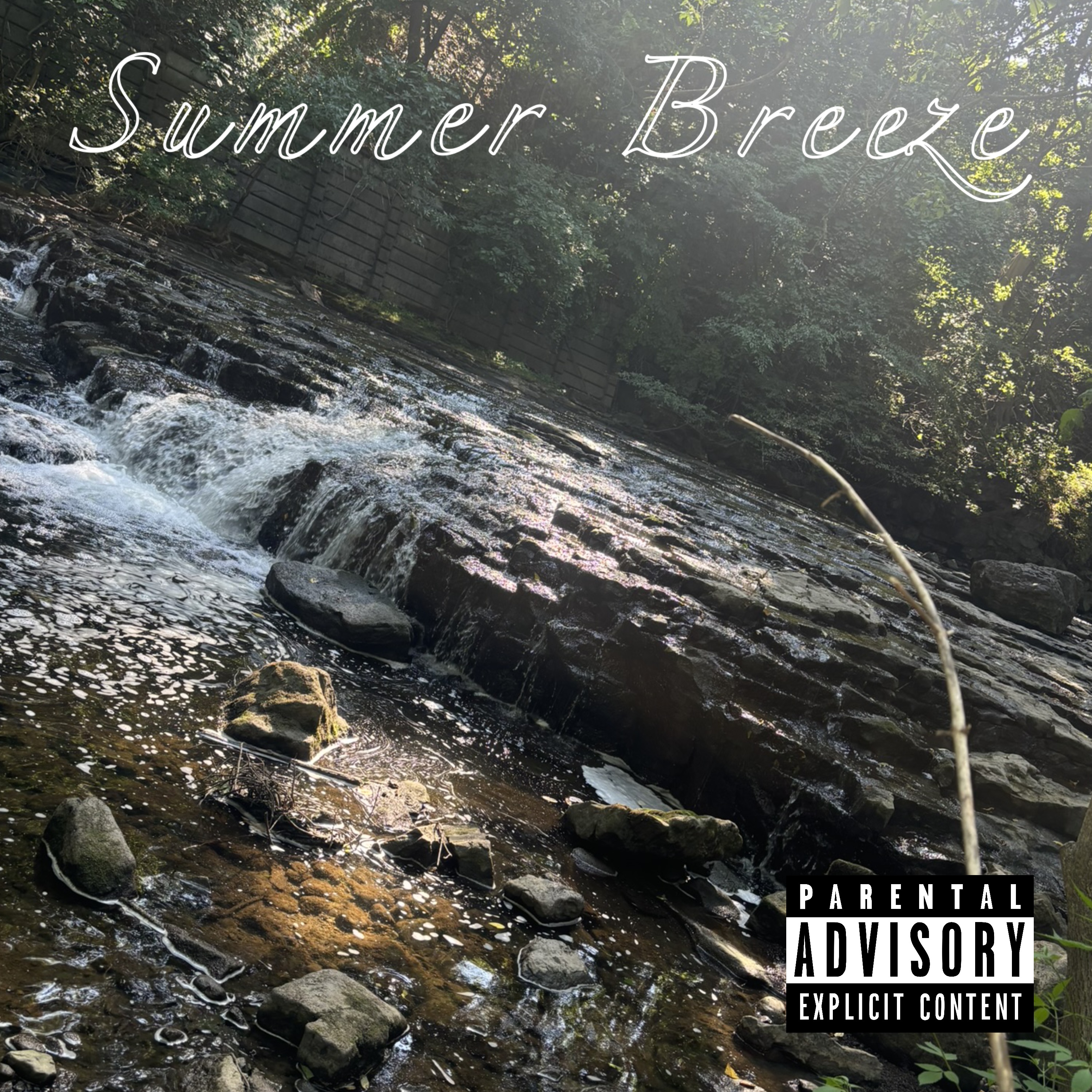 Summer Breeze artwork