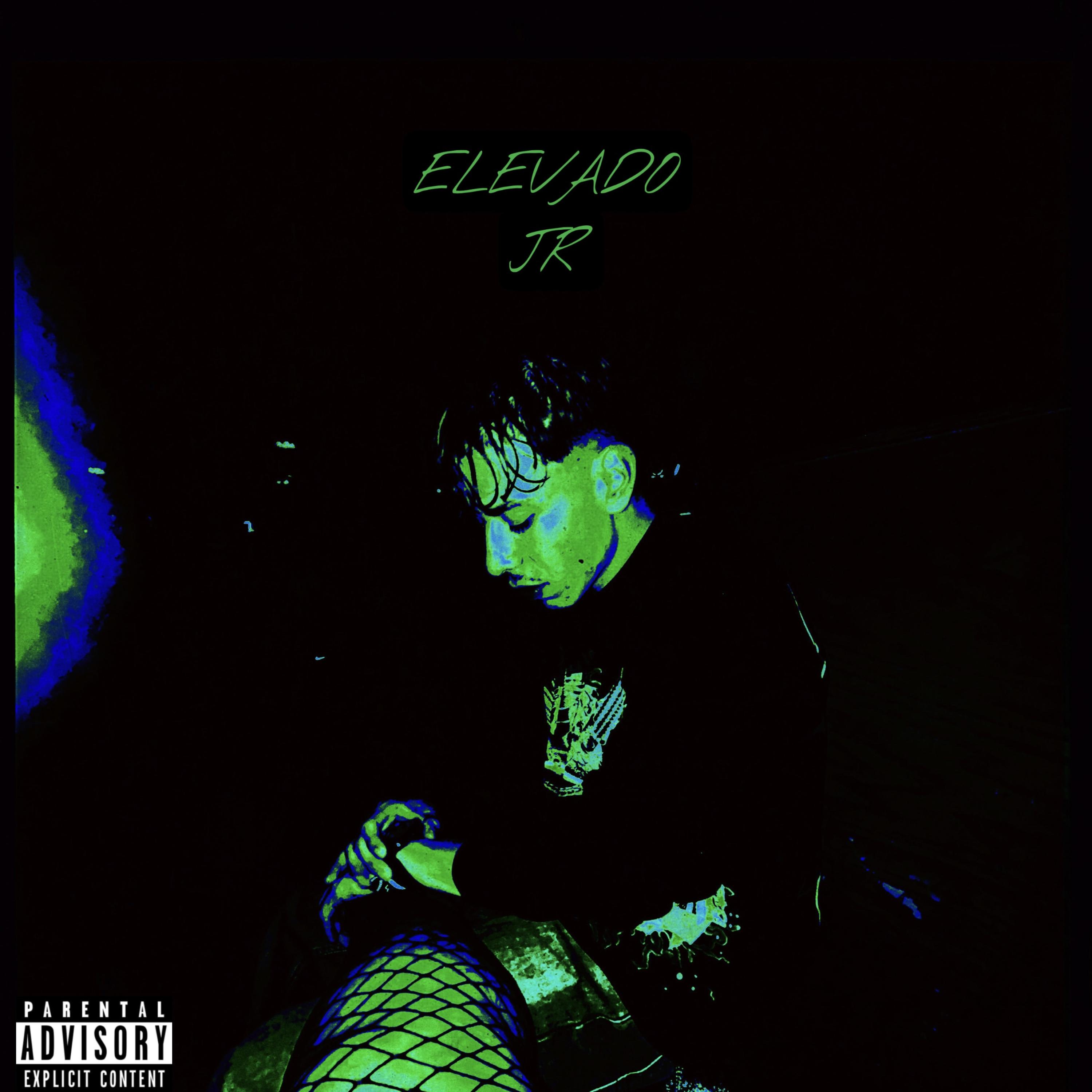 elevado artwork