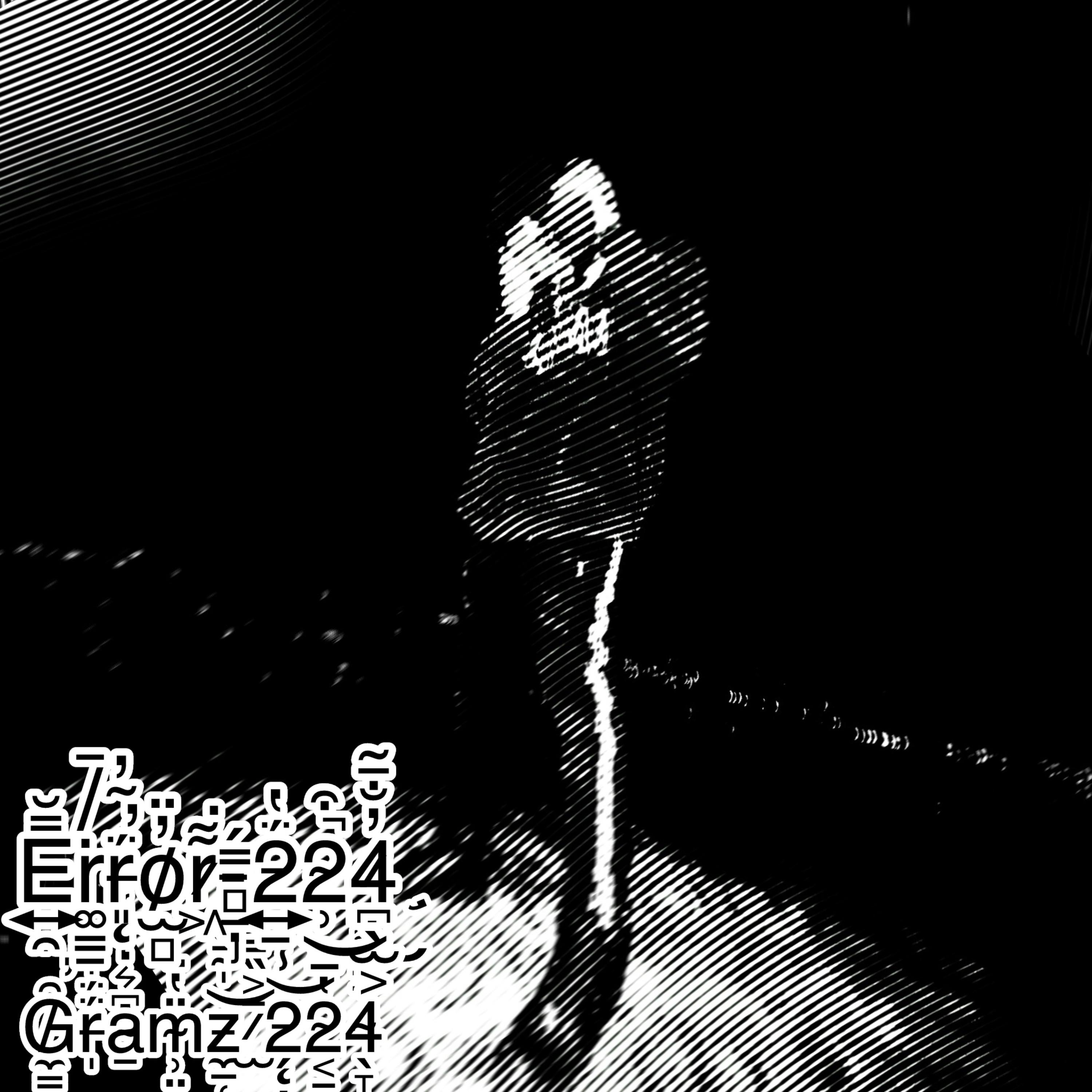 Error 224 artwork