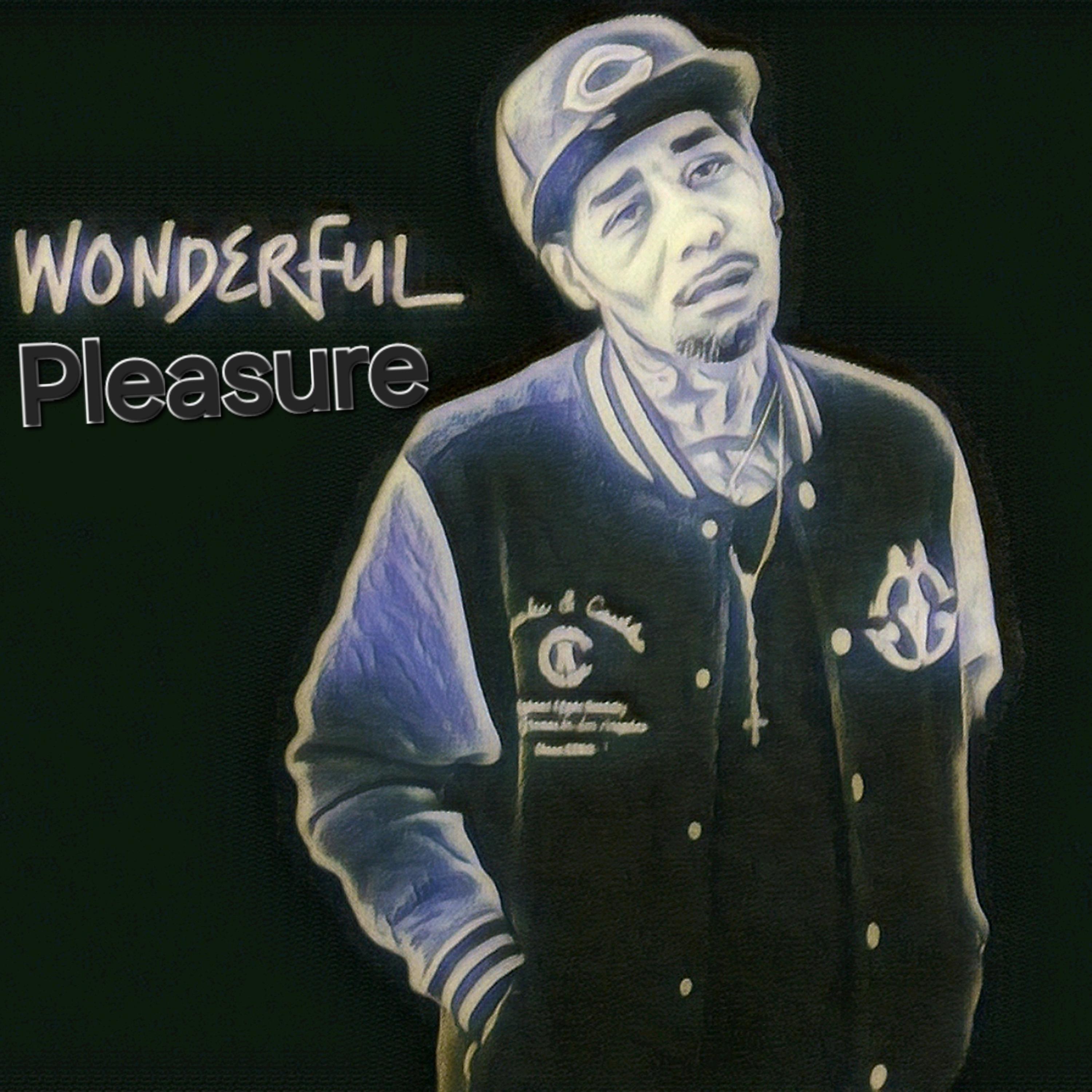 Wonderful Pleasure artwork