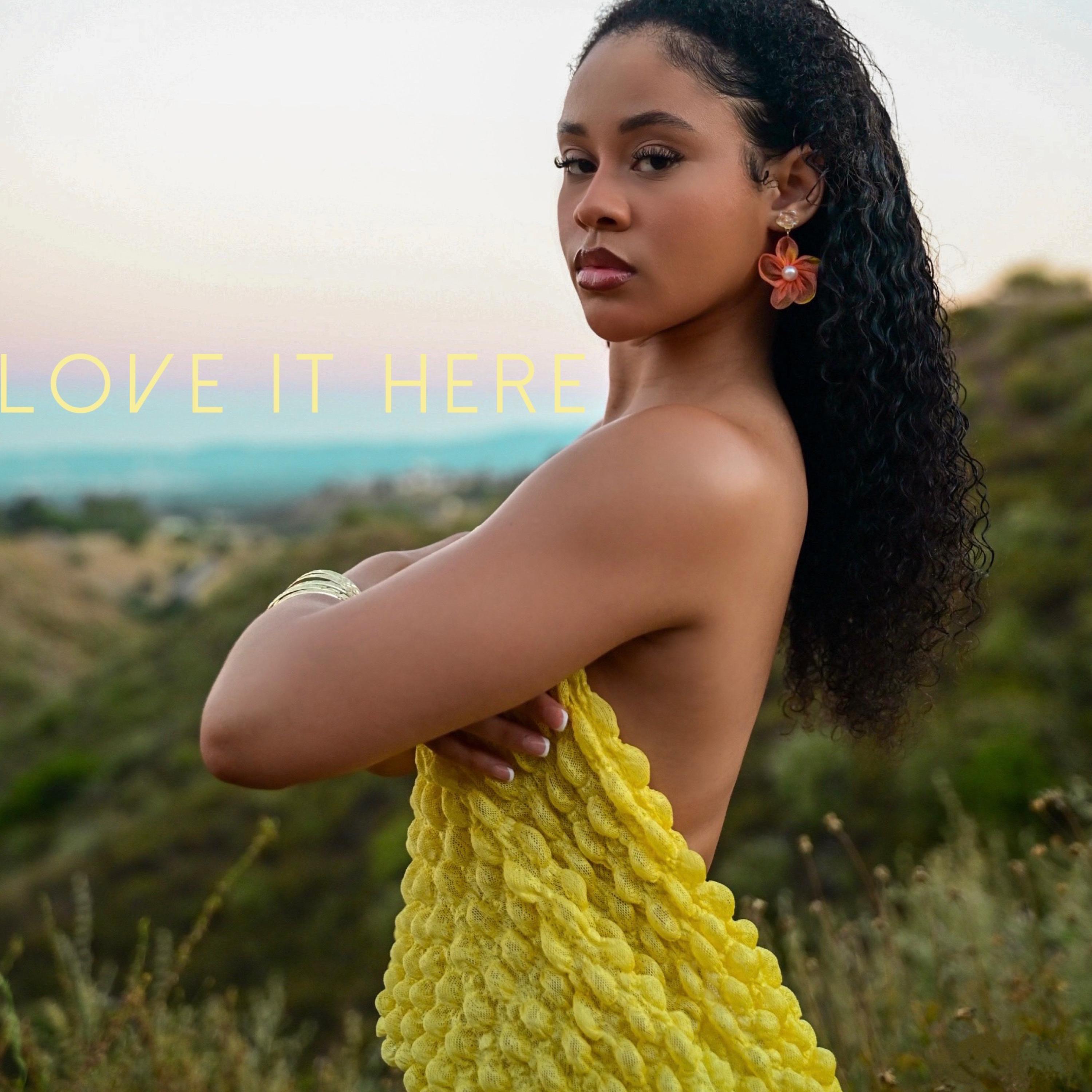 Love It Here artwork