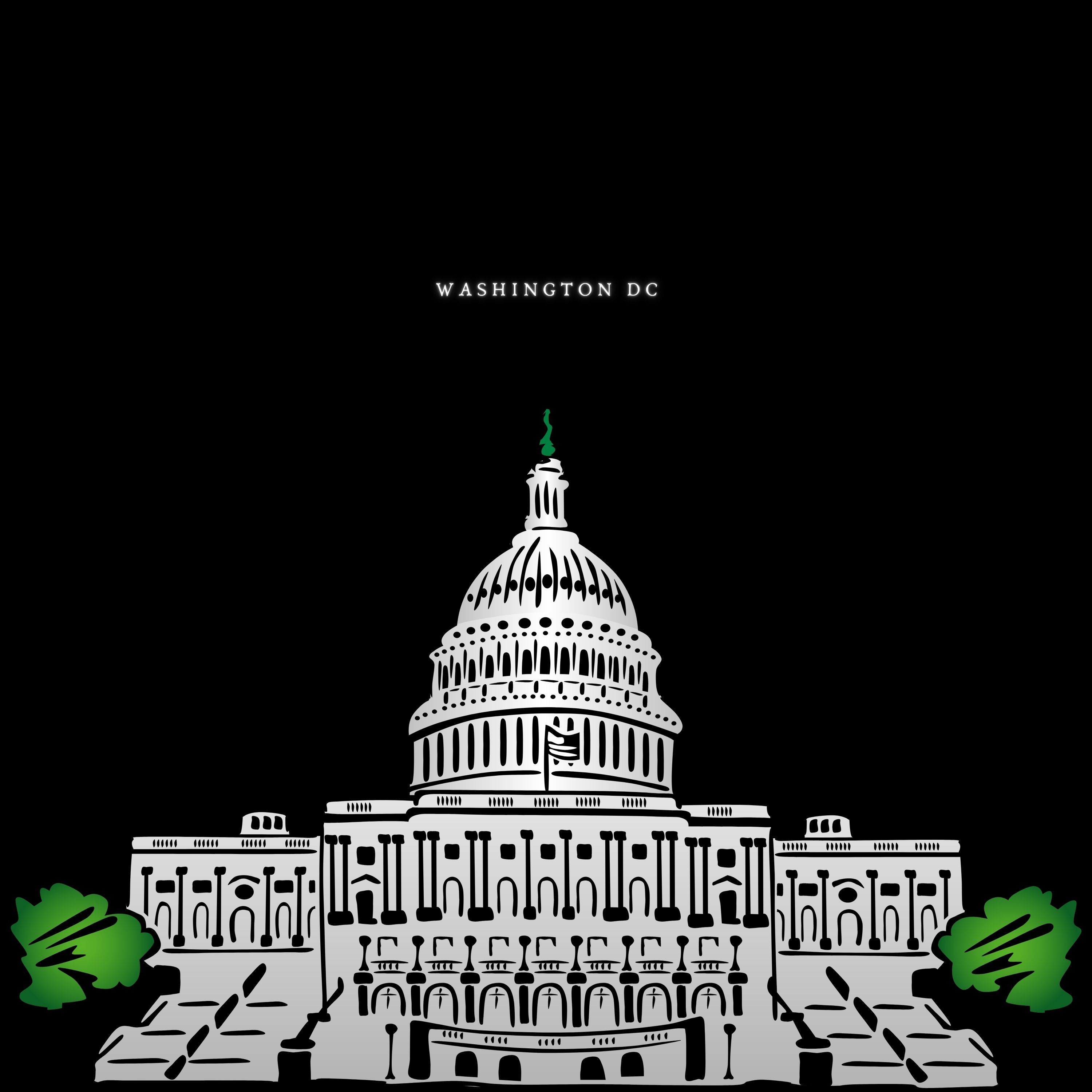 Washington DC artwork