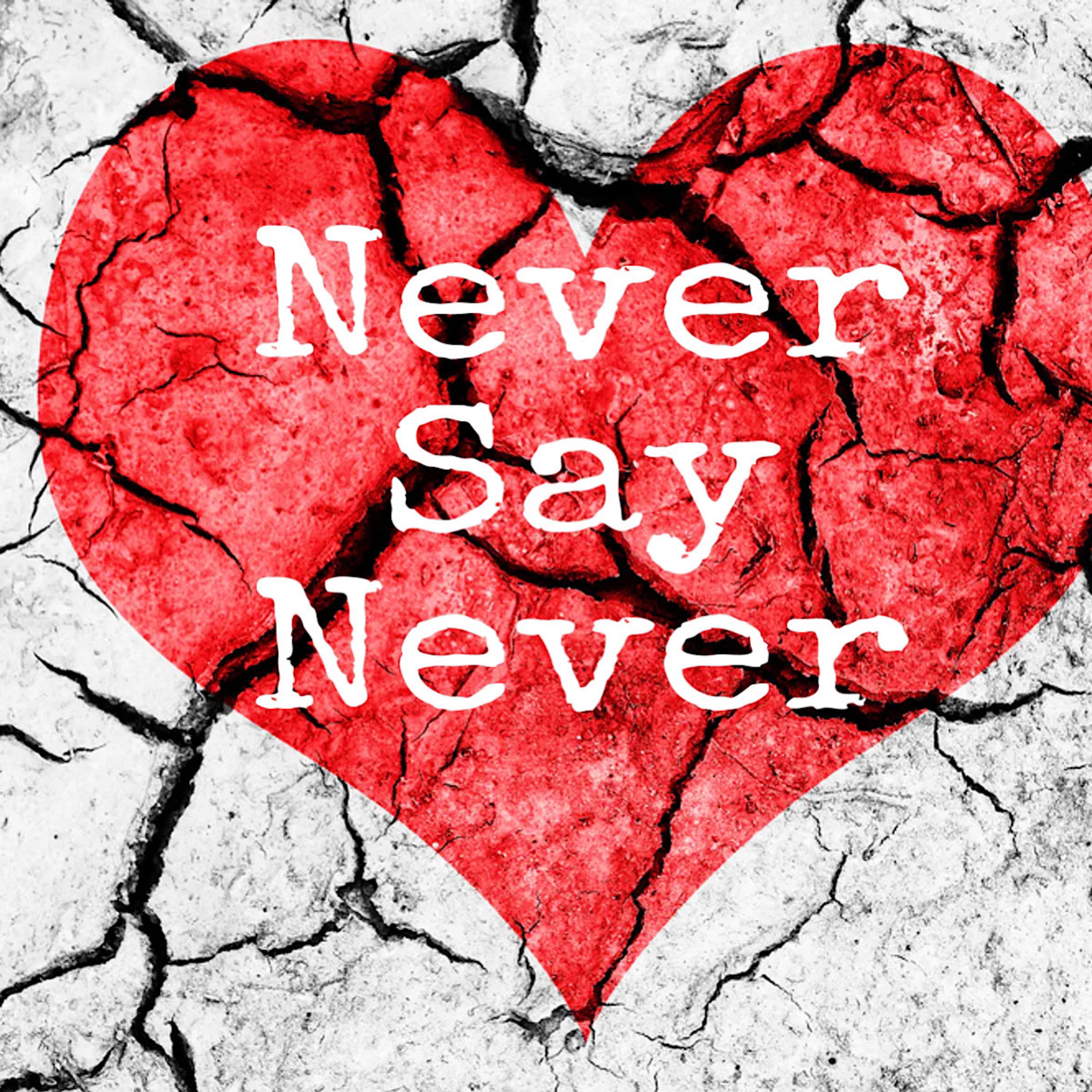 Never Say Never artwork
