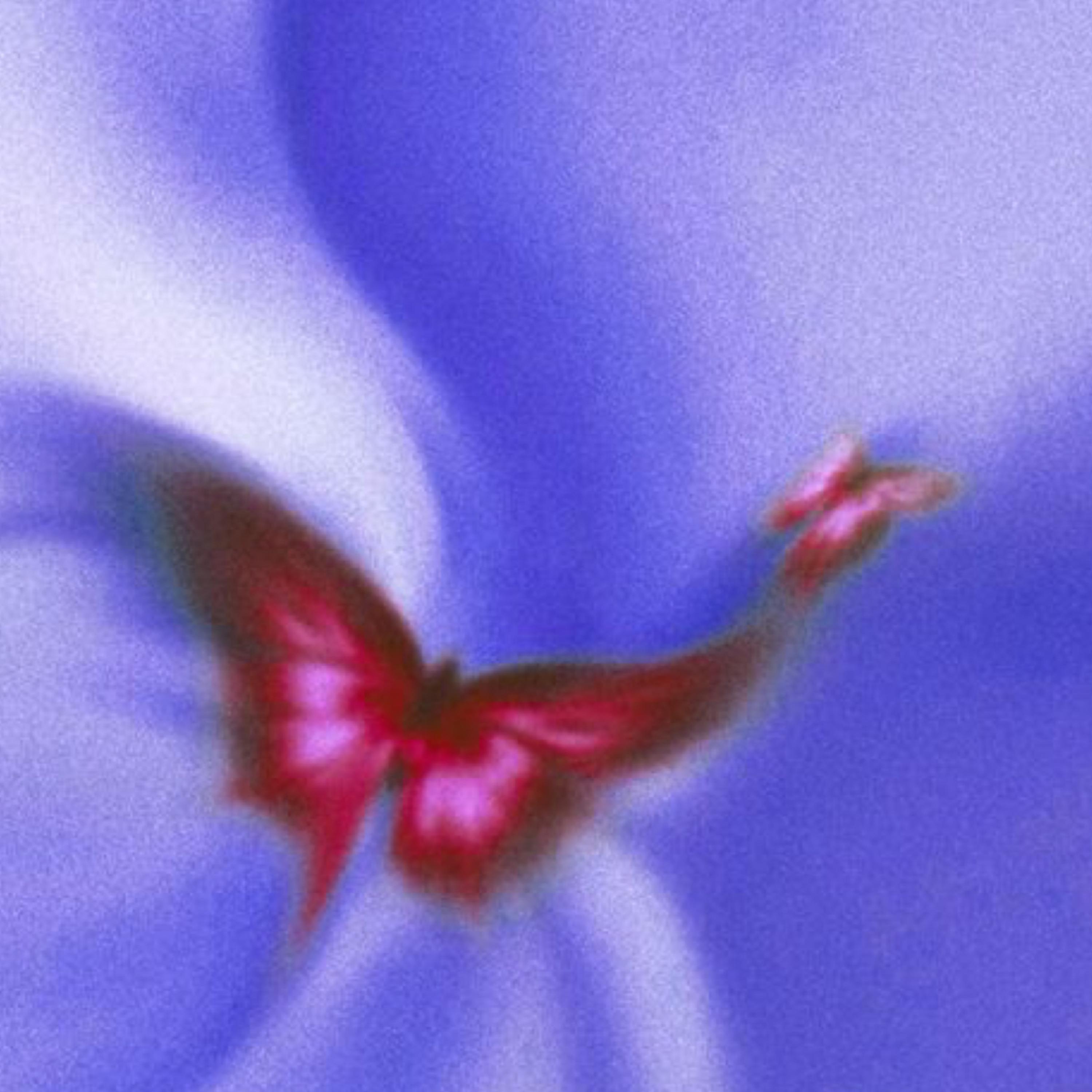 Singularity artwork