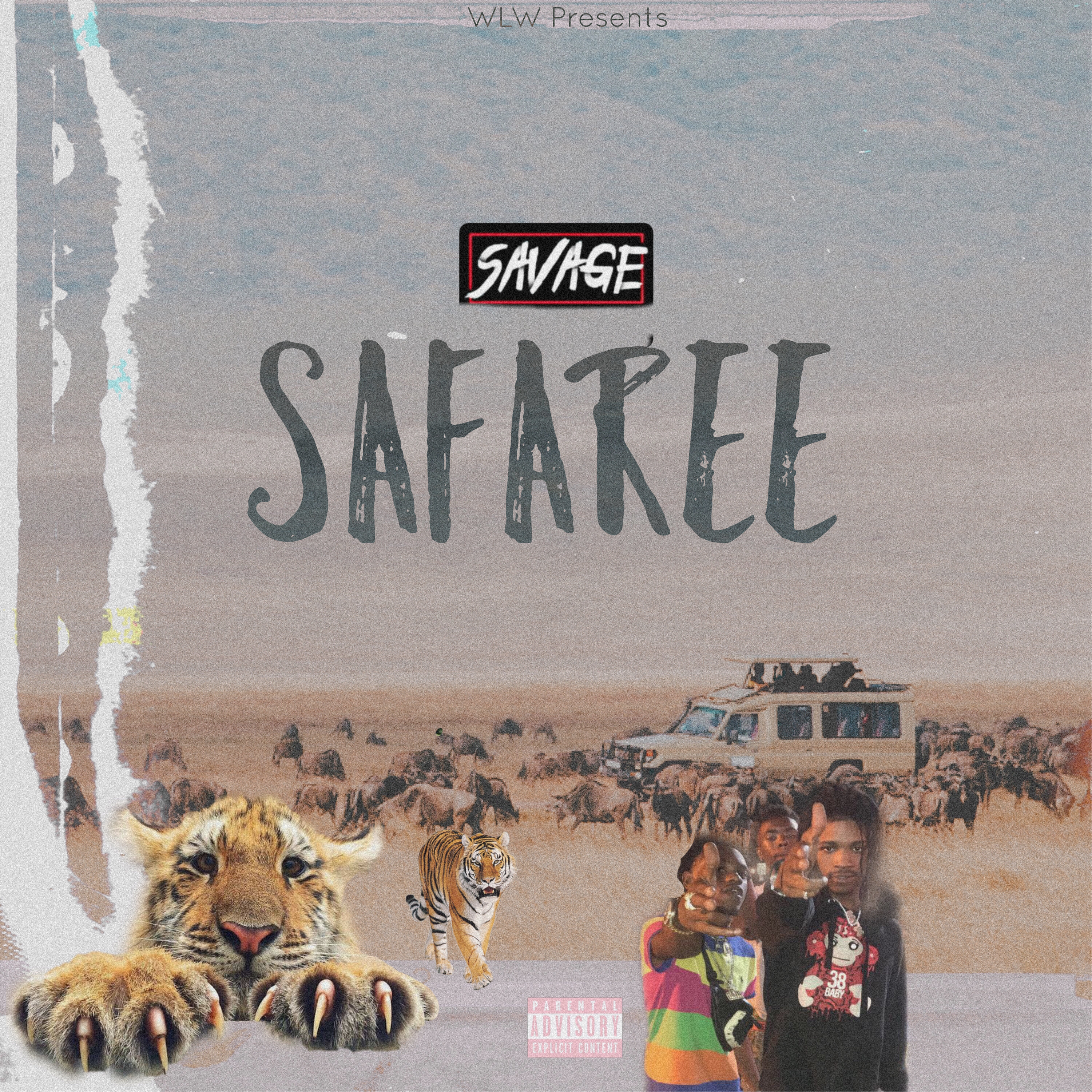 Safaree artwork