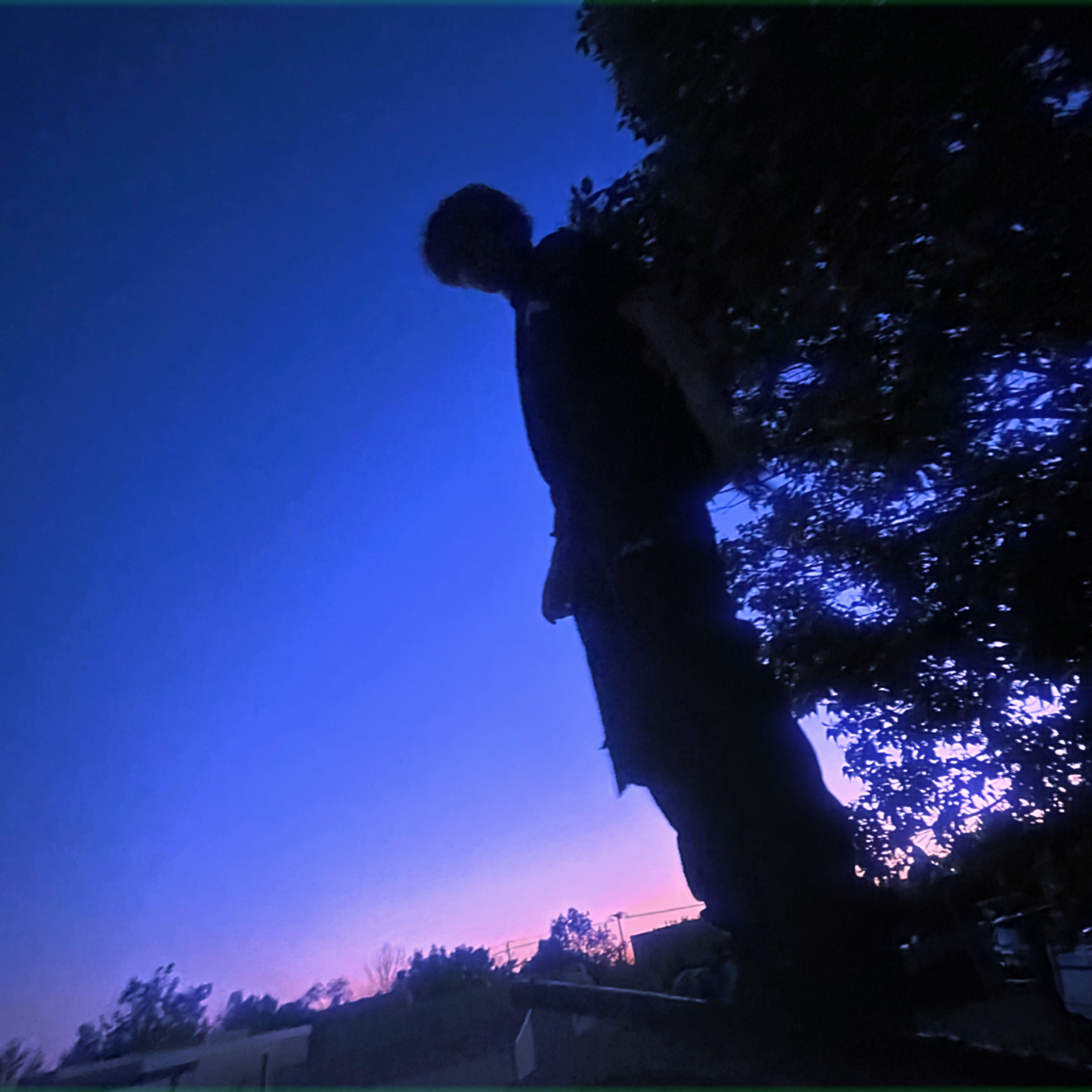IN THE NIGHT artwork