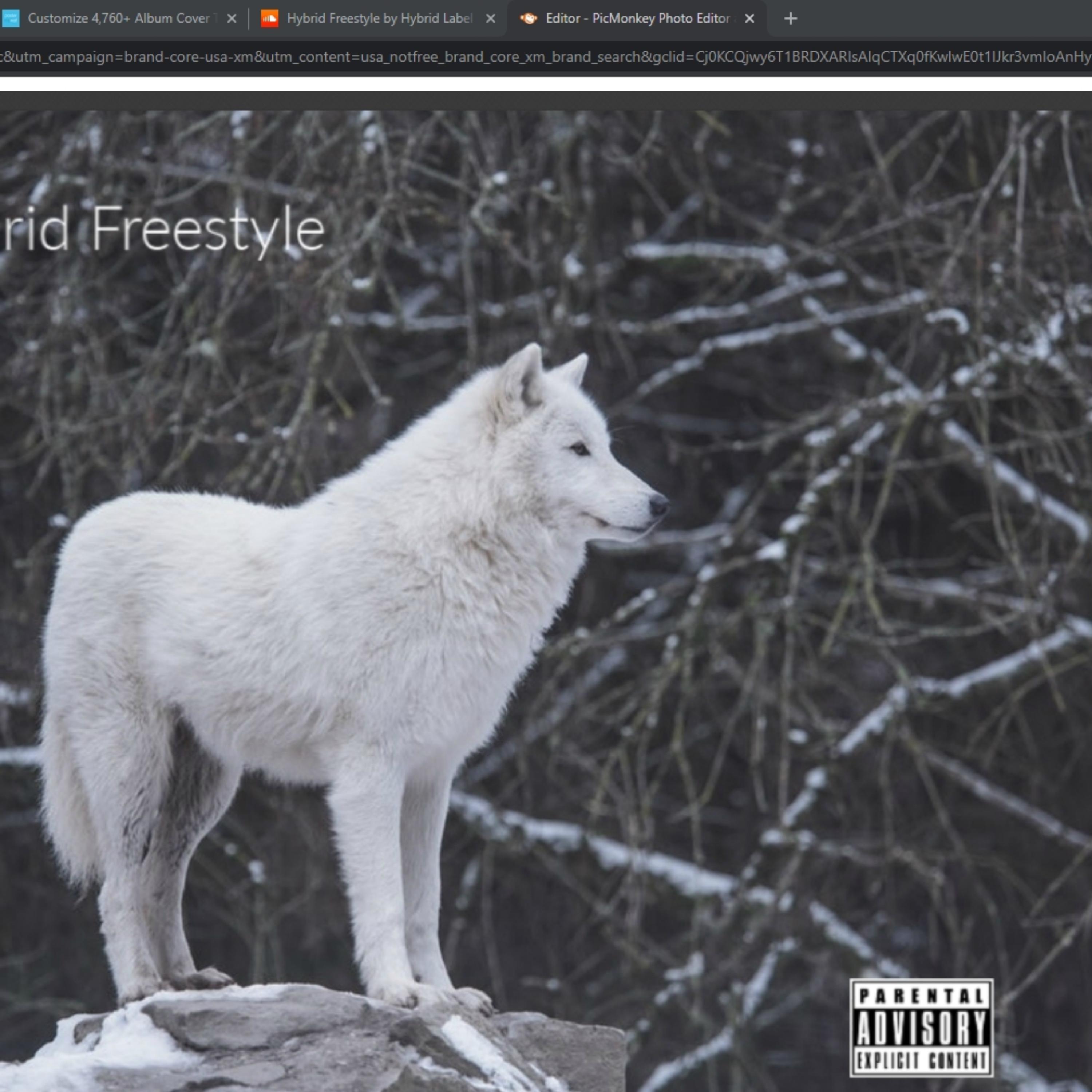 Hybrid Freestyle artwork