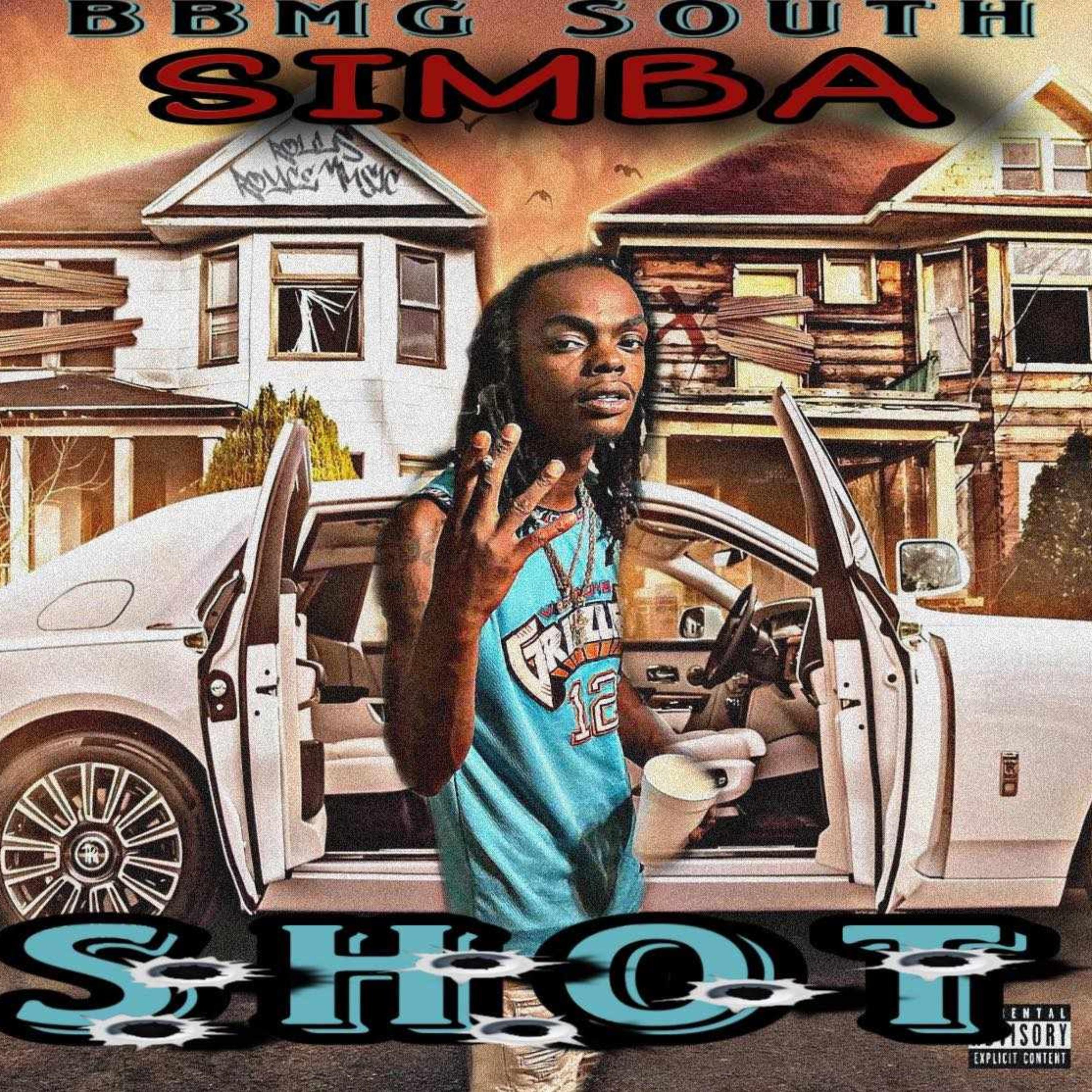 Shot artwork