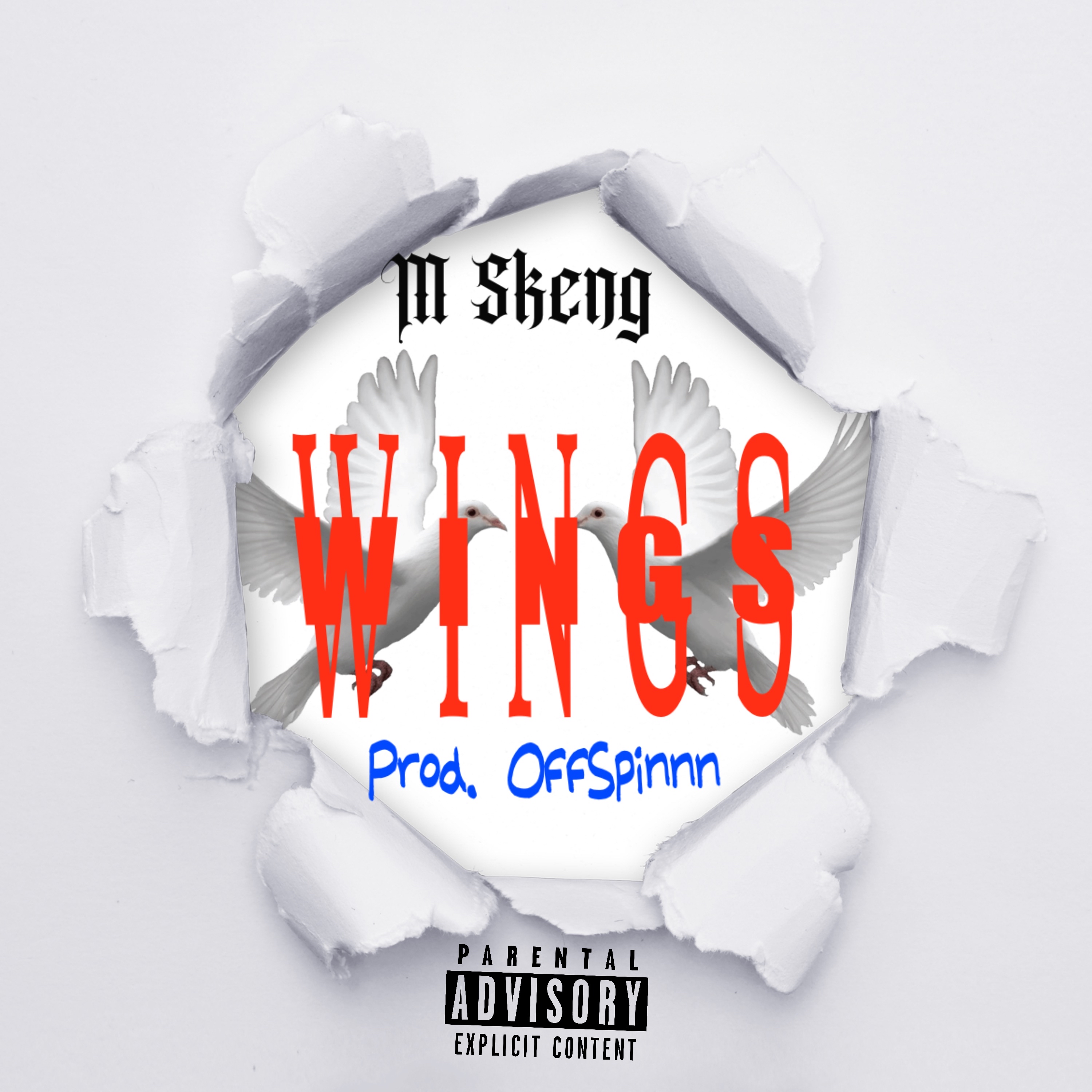 Wings artwork
