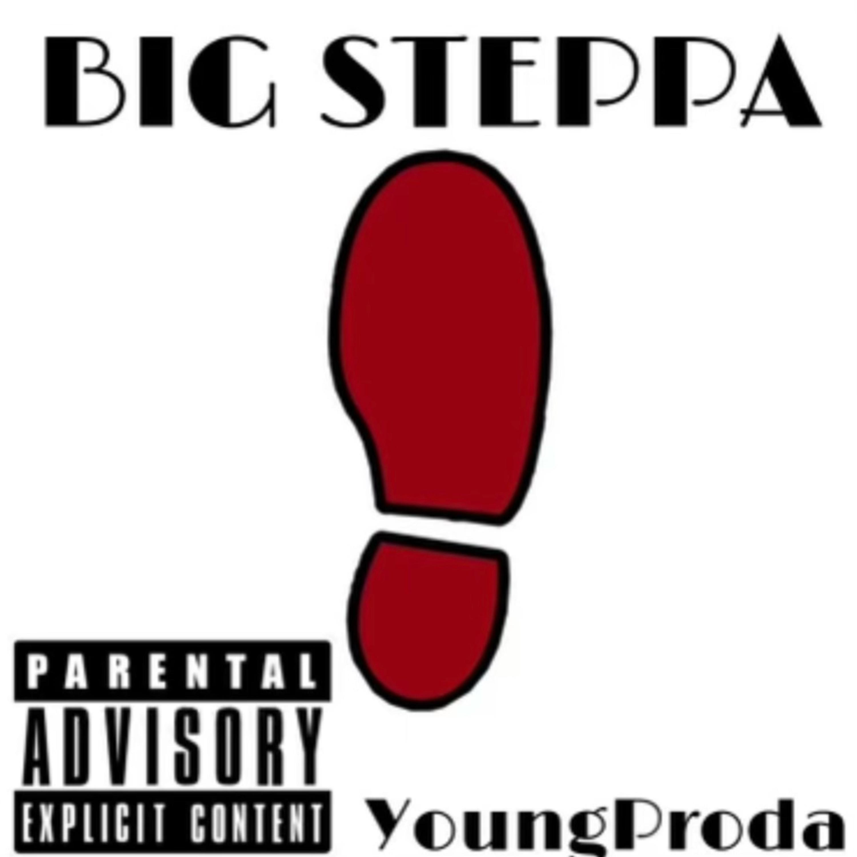 BIG STEPPA artwork