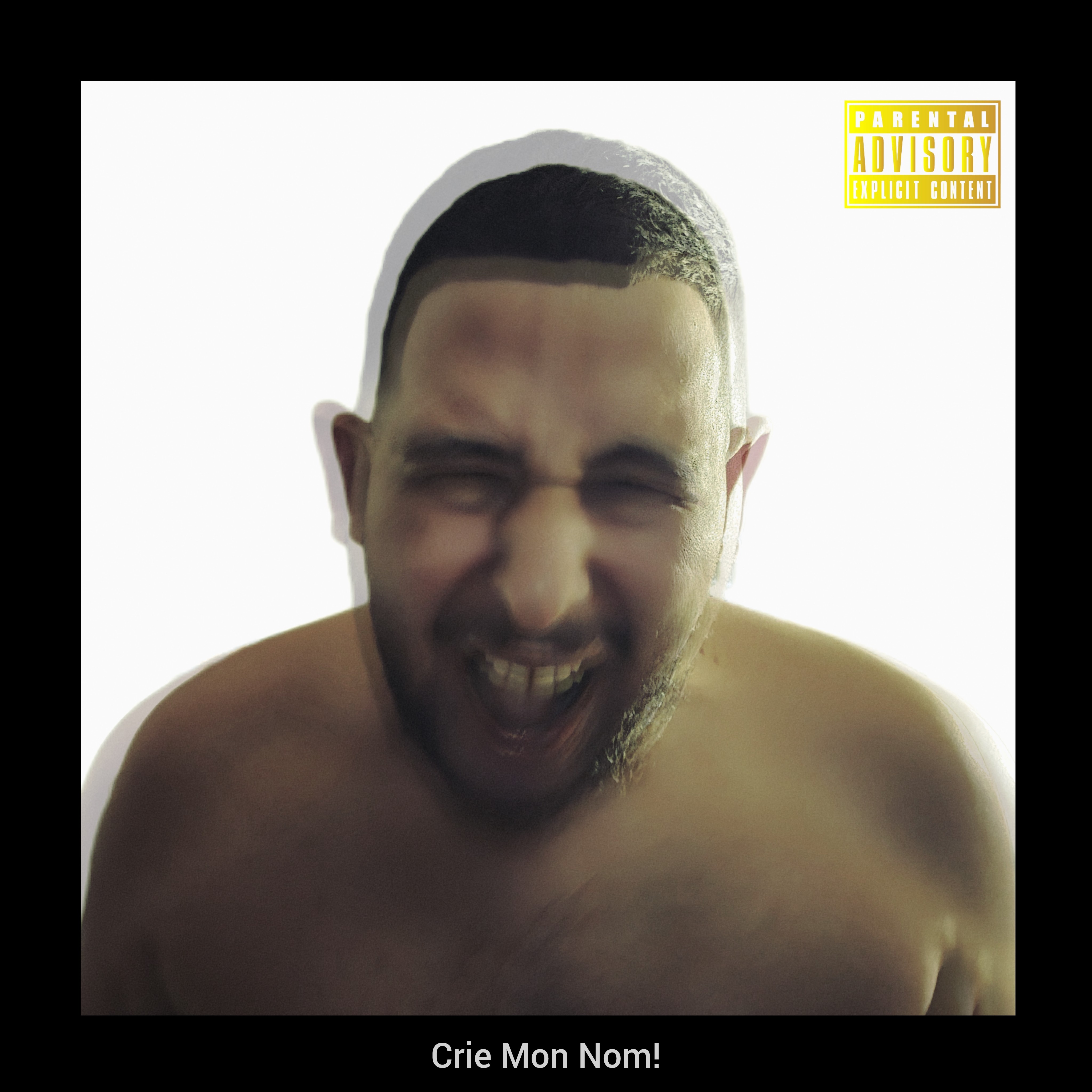 Crie Mon Nom! by Sami Aziz cover art